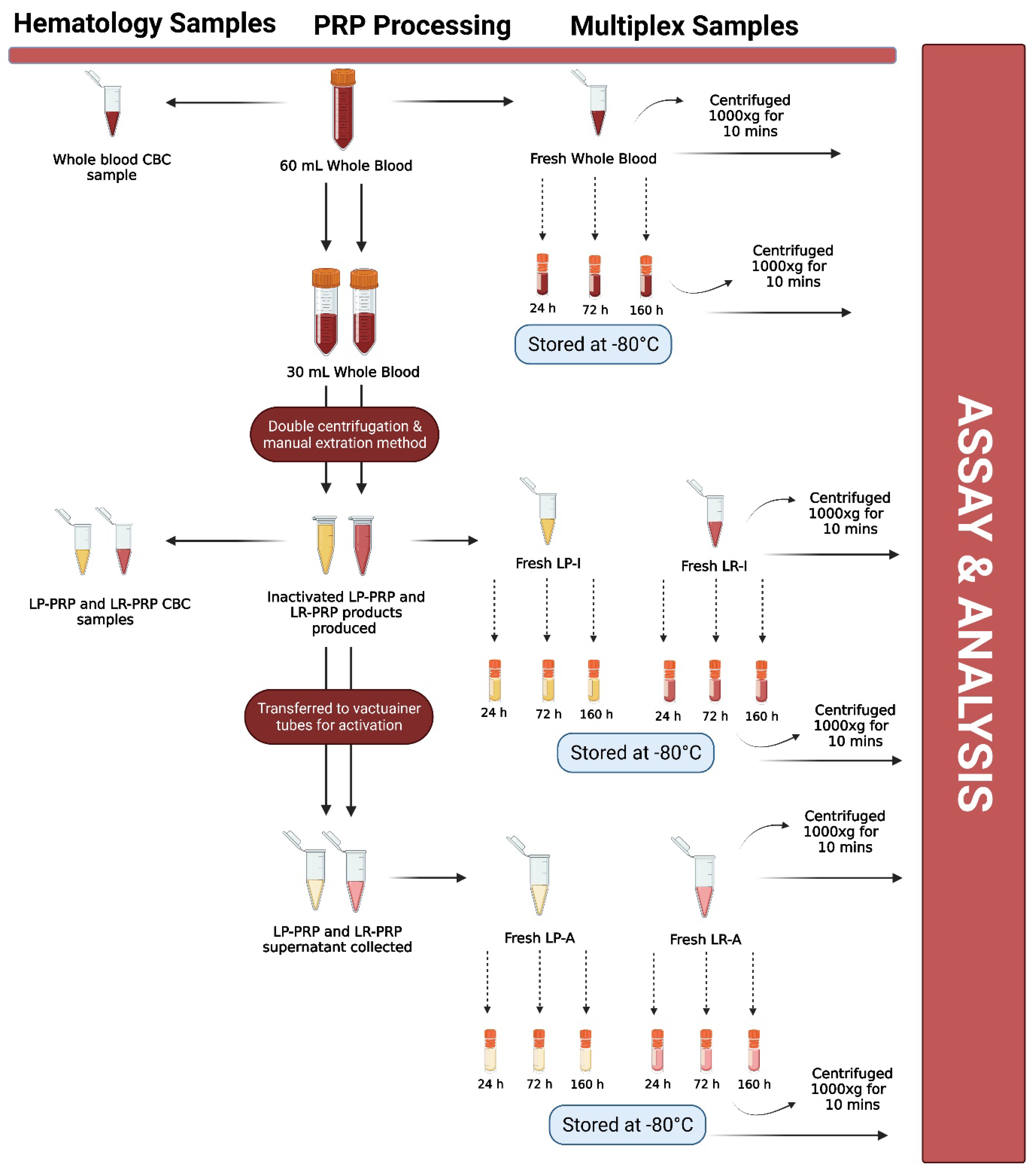 Biomedicines 09 01403 g001 Biomedicines 09 01403 g001