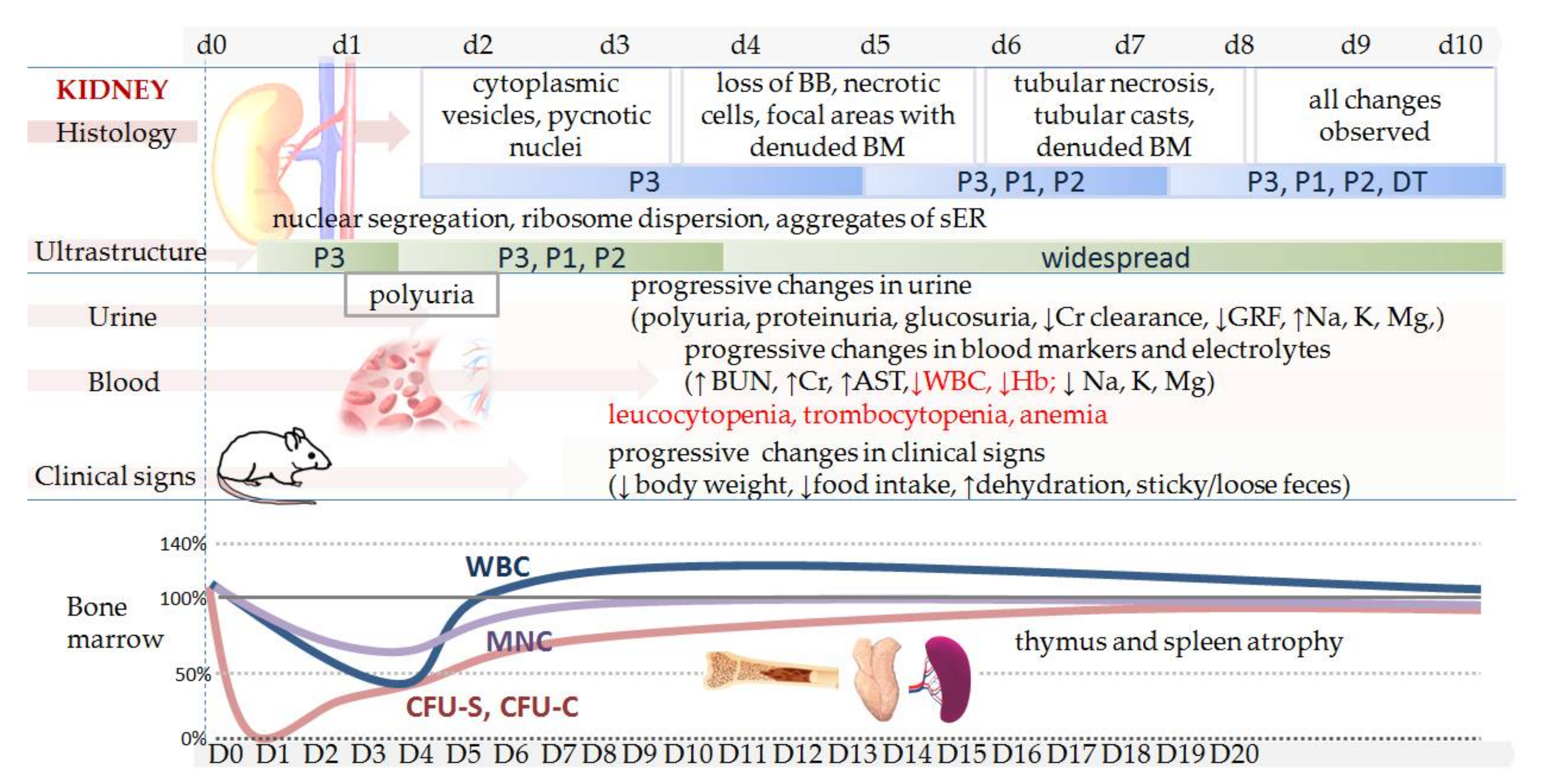 Biomedicines 09 01406 g001