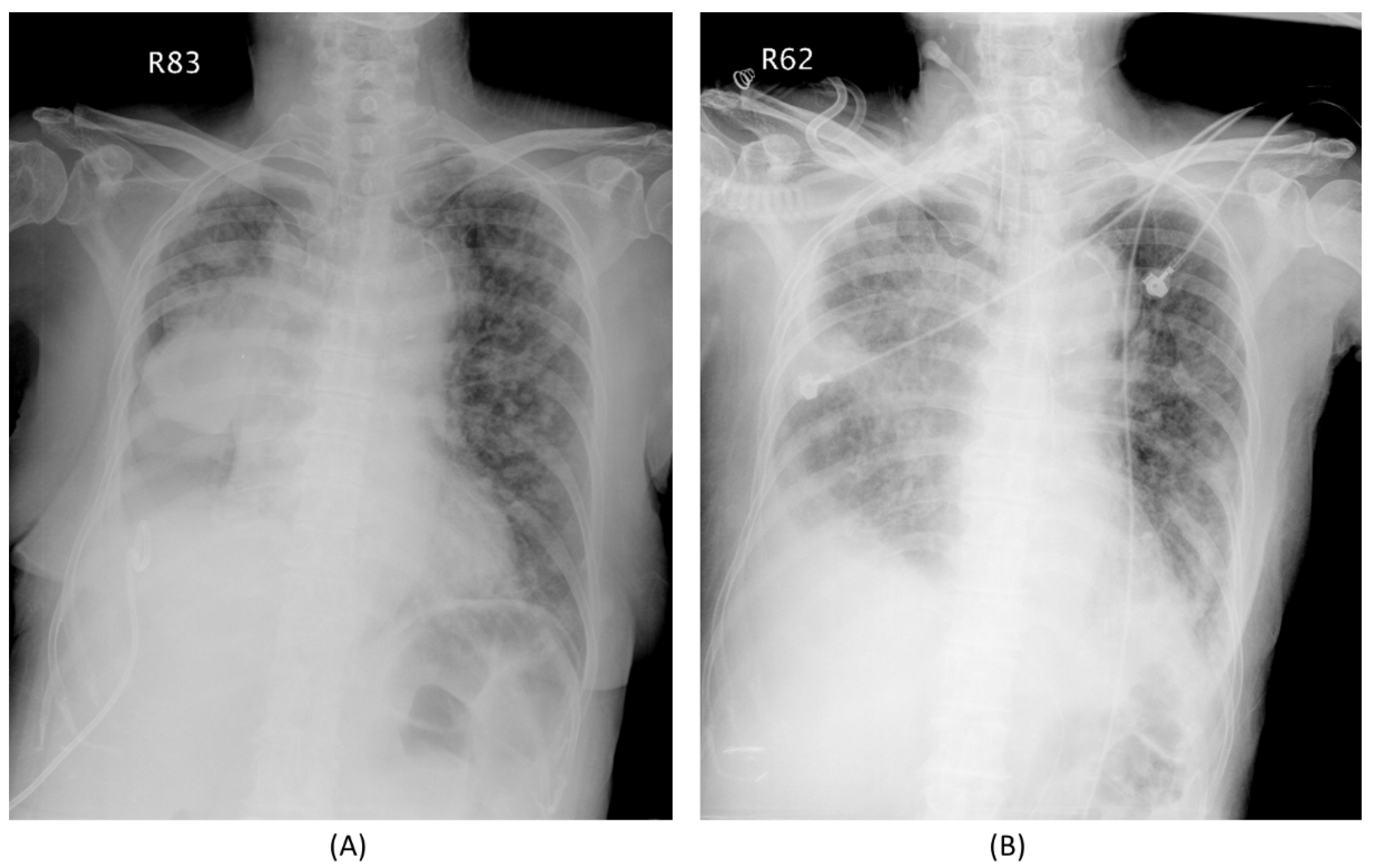 Biomedicines 09 01416 g003