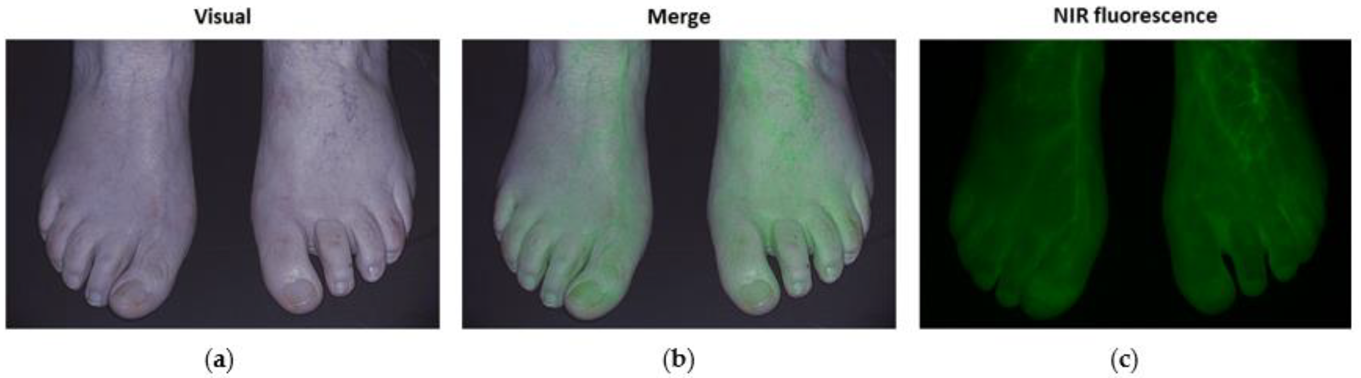 Biomedicines 09 01417 g002