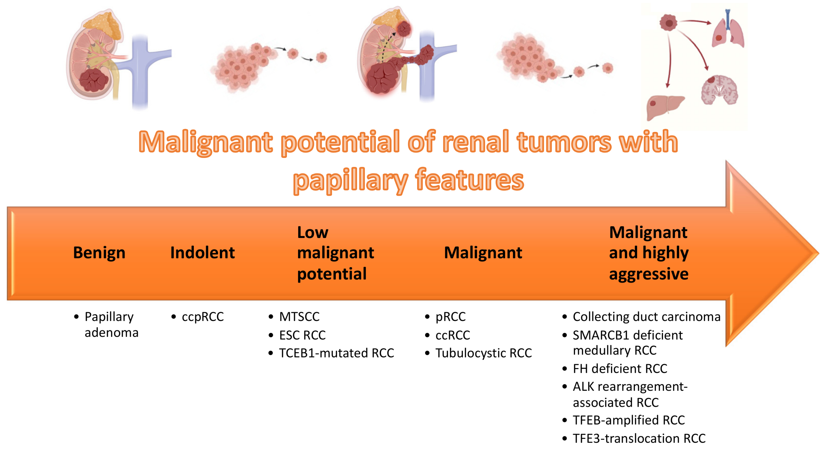 Biomedicines 09 01418 g011