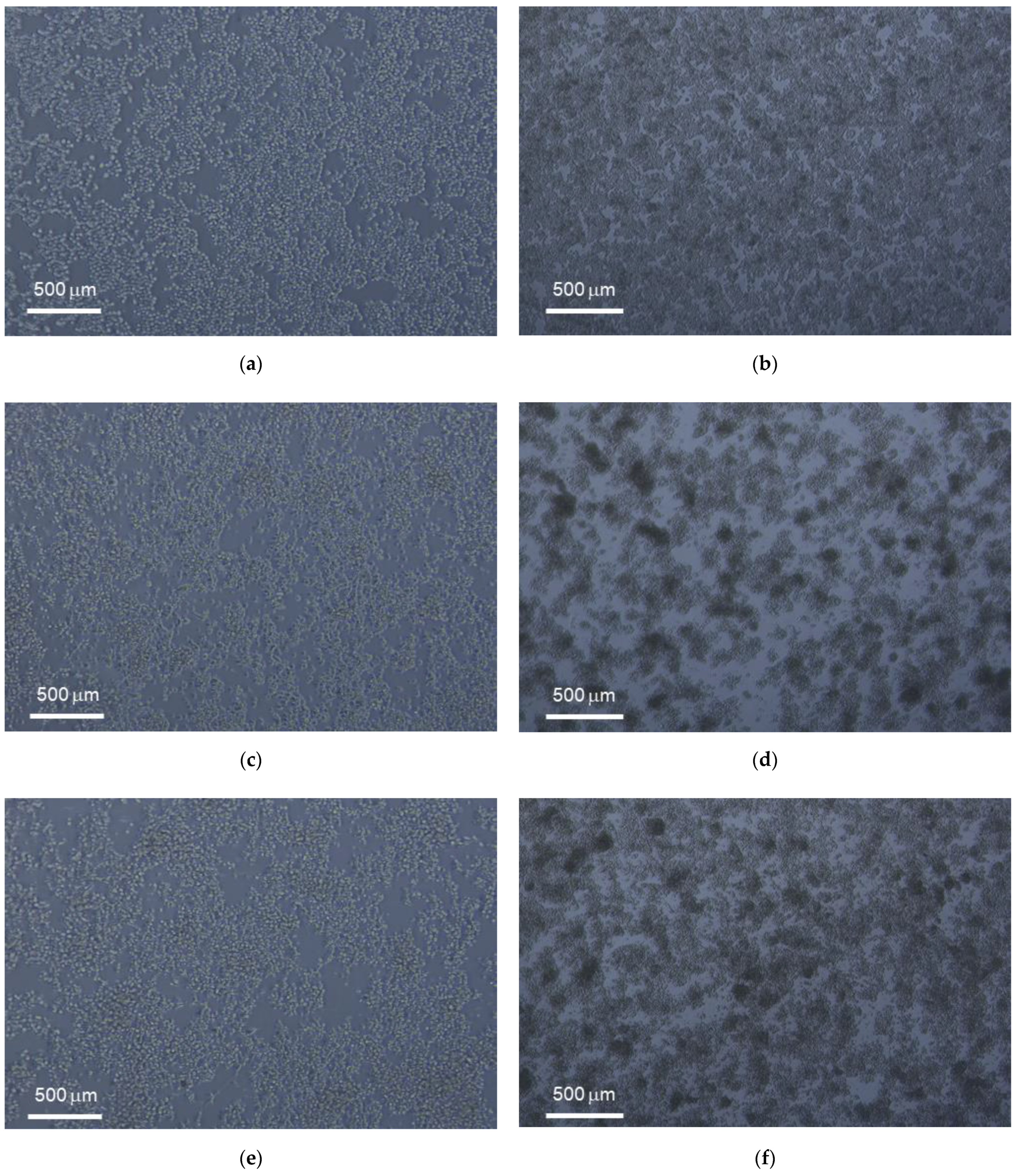 Biomedicines 09 01419 g005 Biomedicines 09 01419 g005