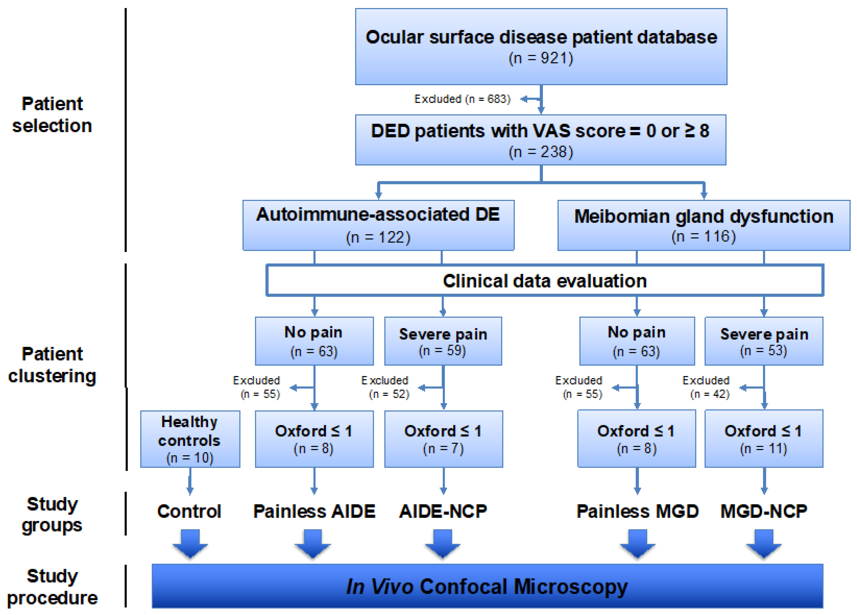 Biomedicines 09 01424 g001