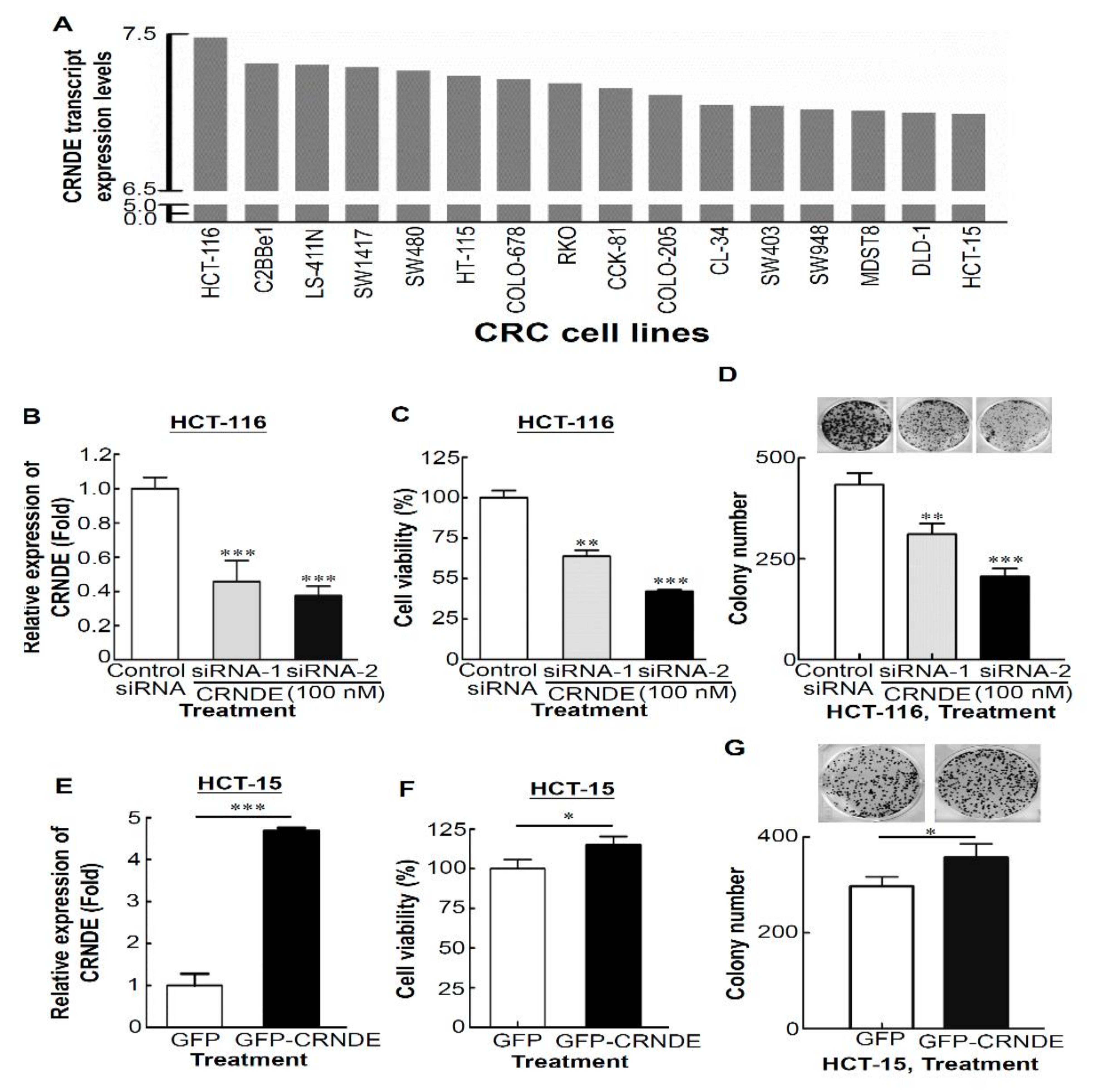 Biomedicines 09 01438 g002