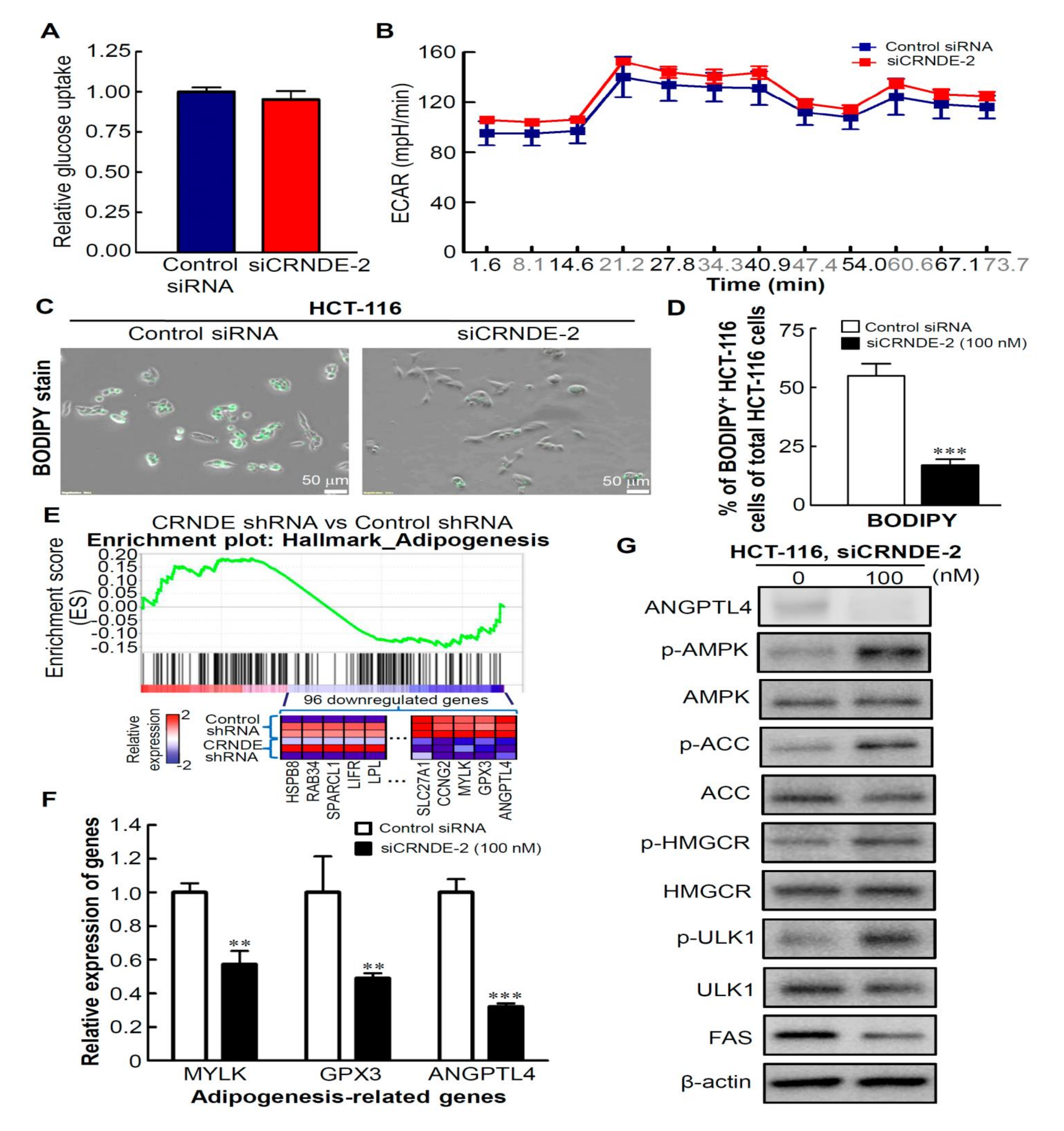 Biomedicines 09 01438 g005