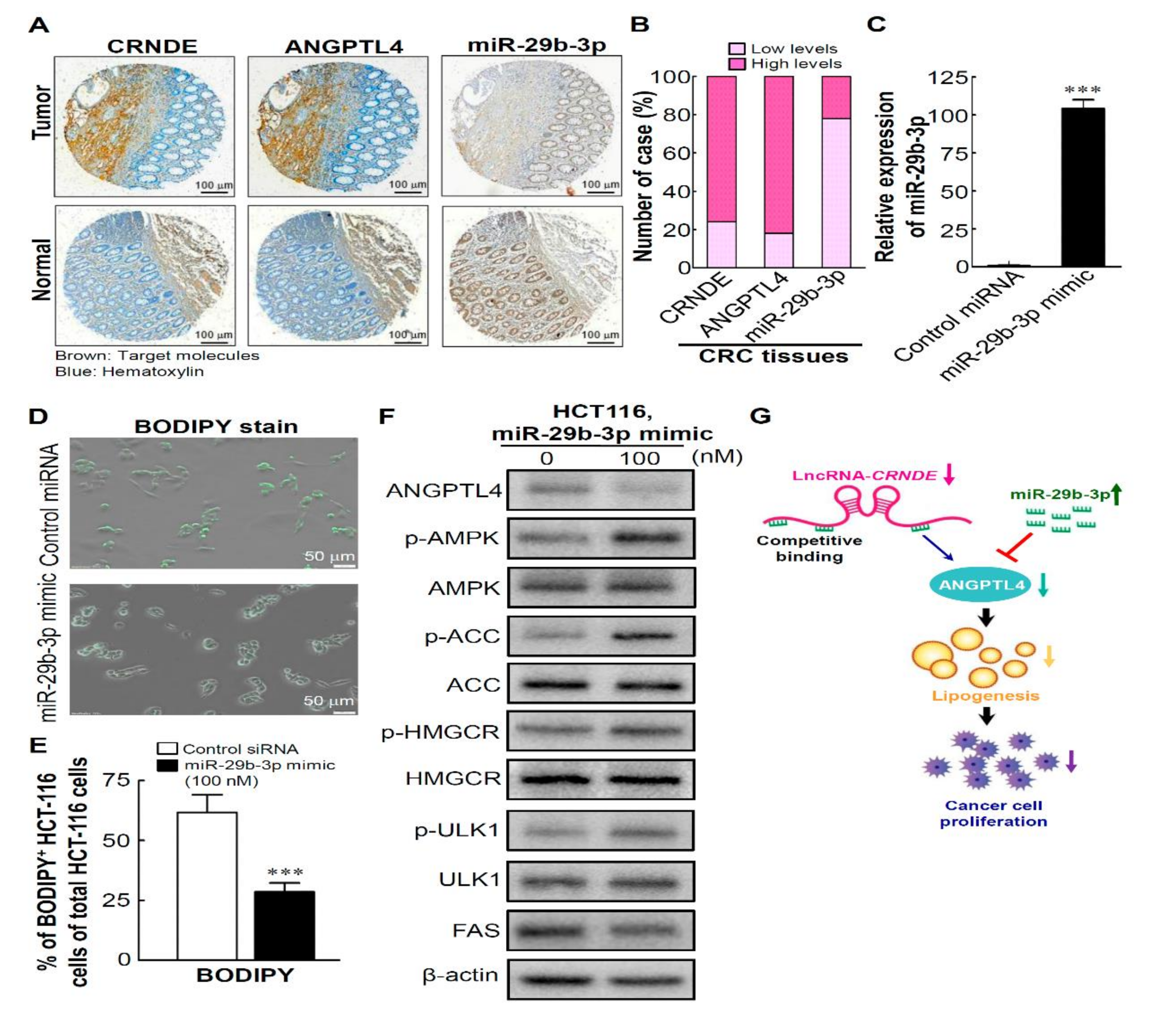 Biomedicines 09 01438 g007