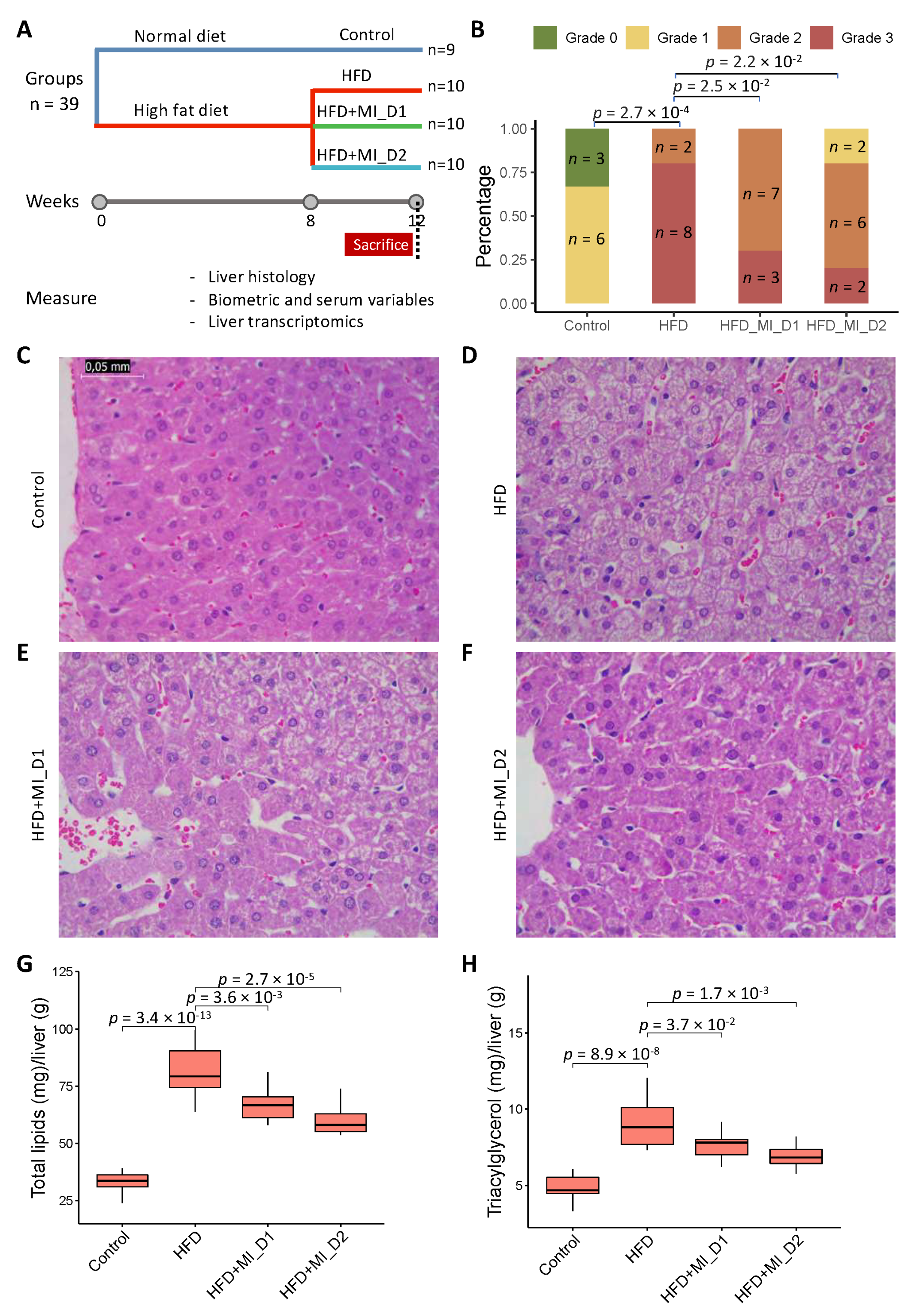 Biomedicines 09 01440 g001