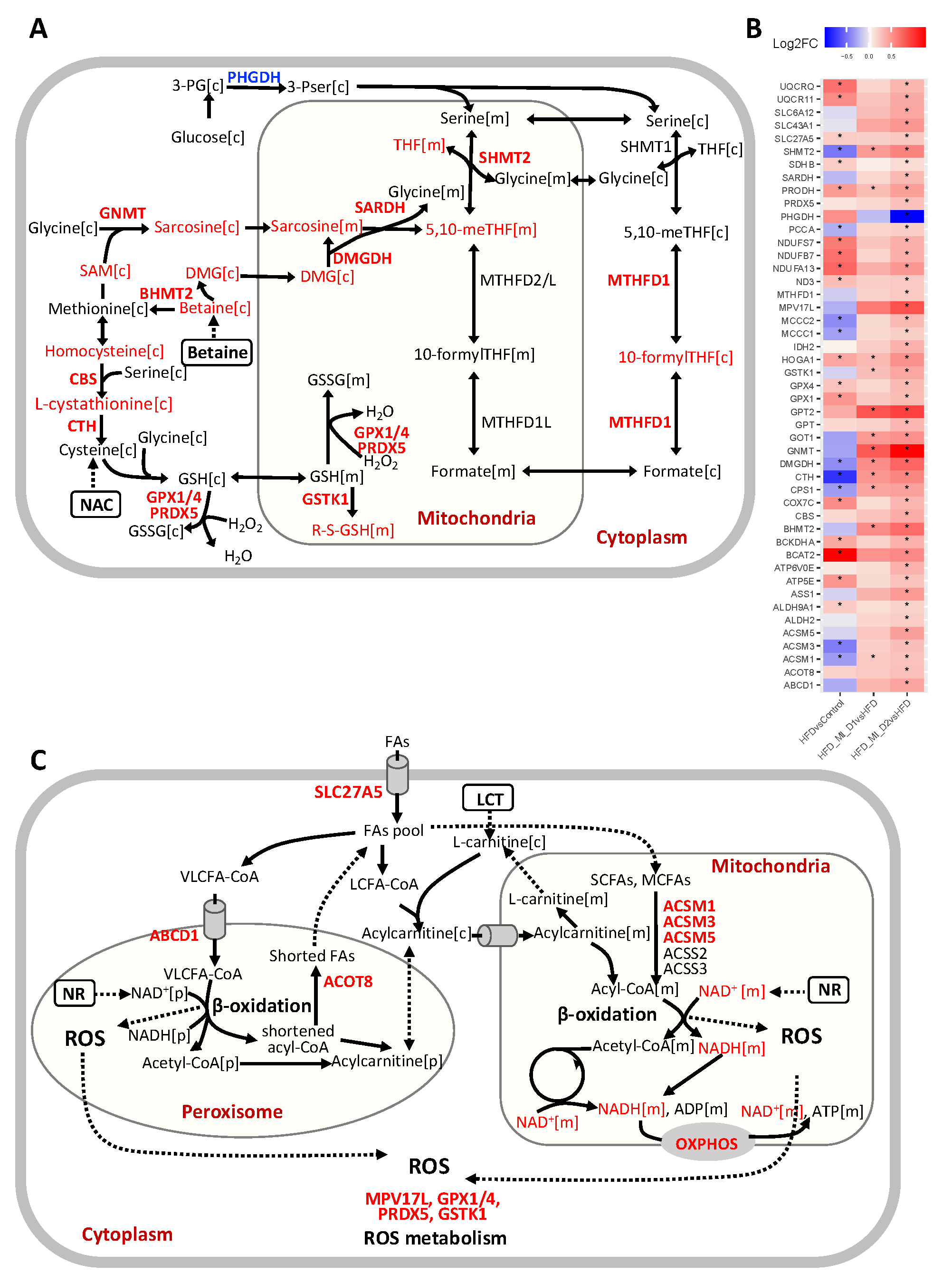 Biomedicines 09 01440 g005