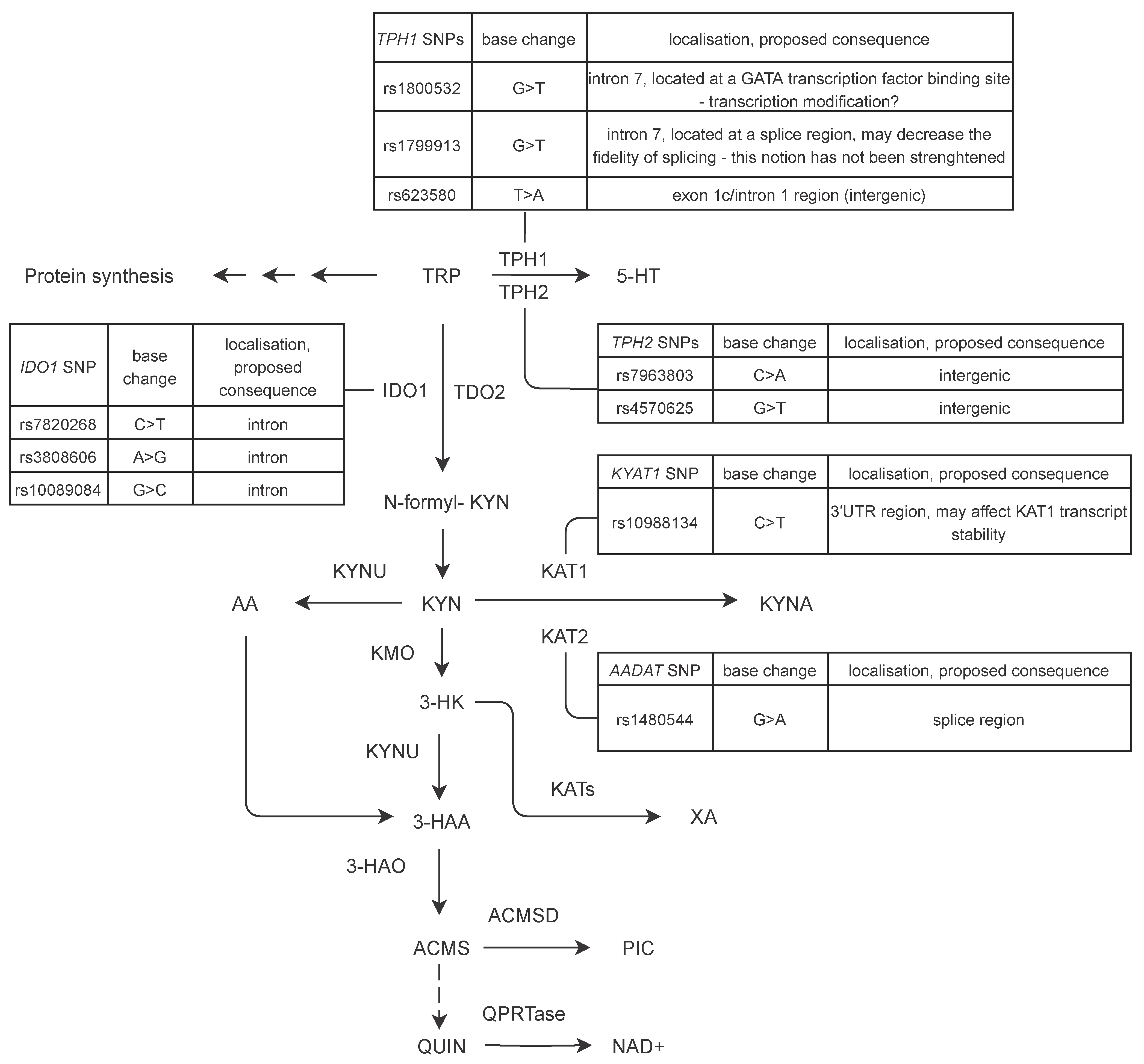Biomedicines 09 01441 g001