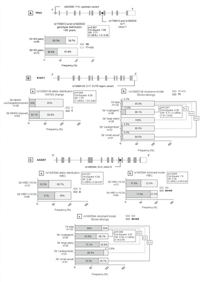 Biomedicines 09 01441 g002 550