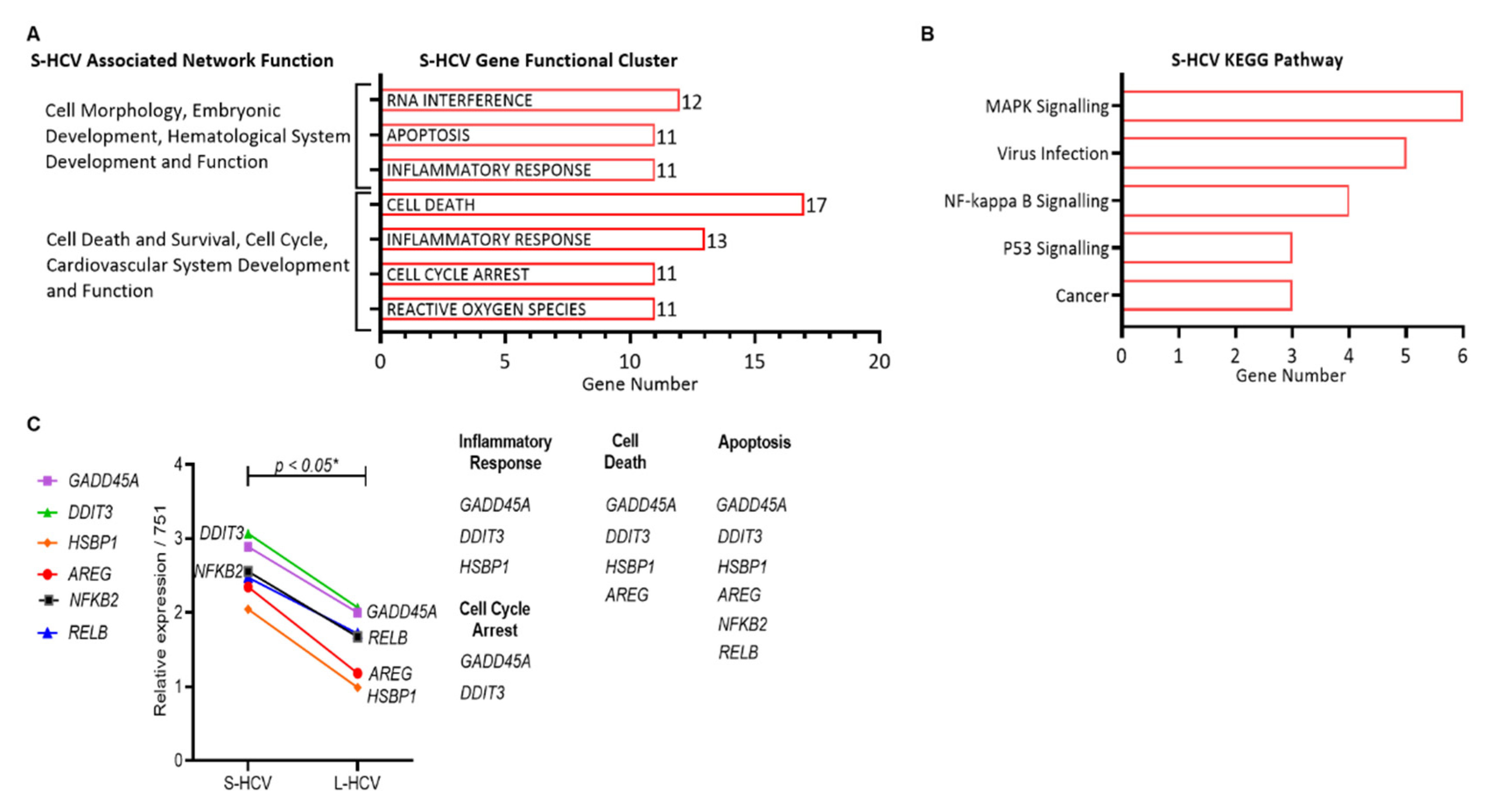 Biomedicines 09 01446 g002