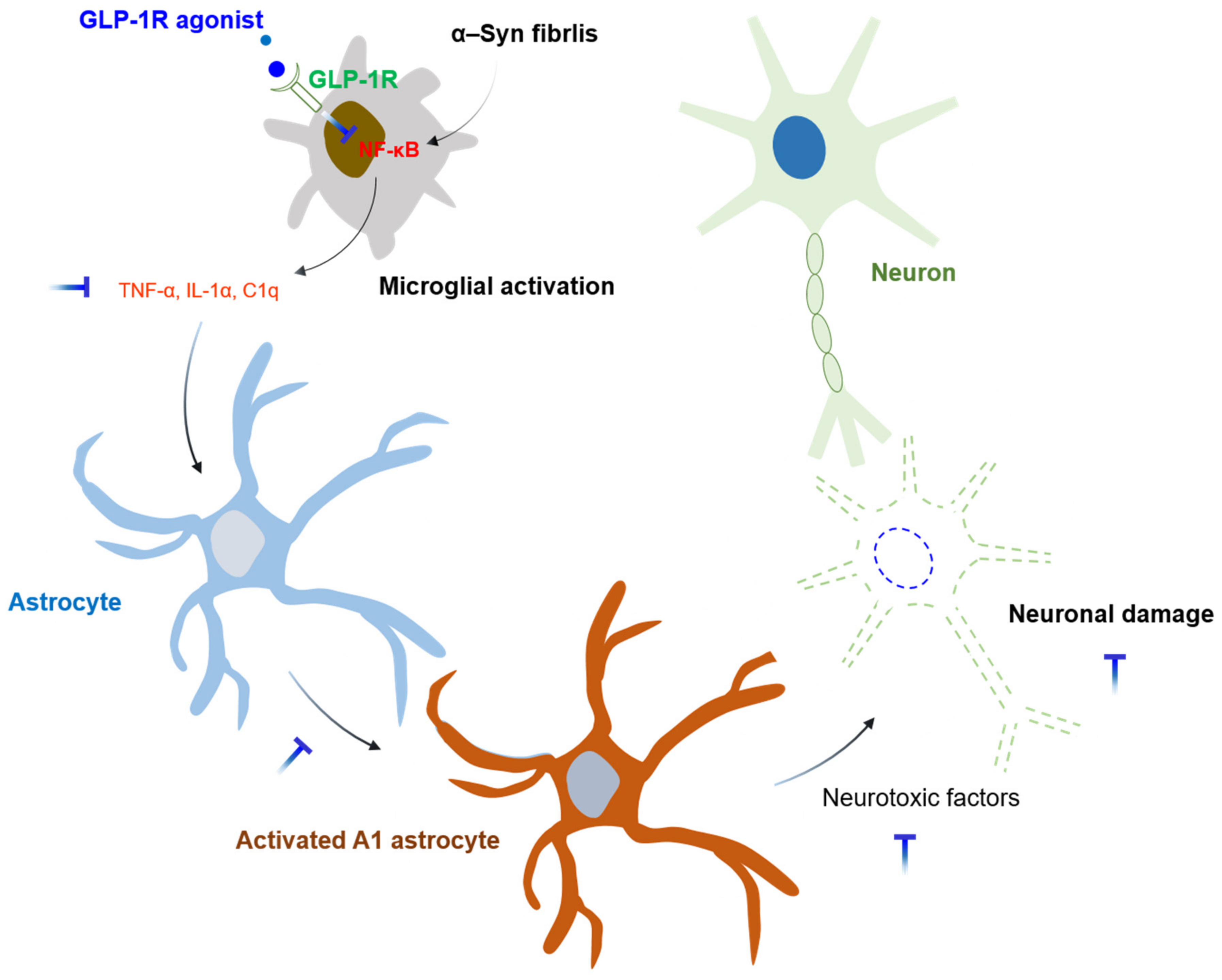 Biomedicines 09 01449 g002