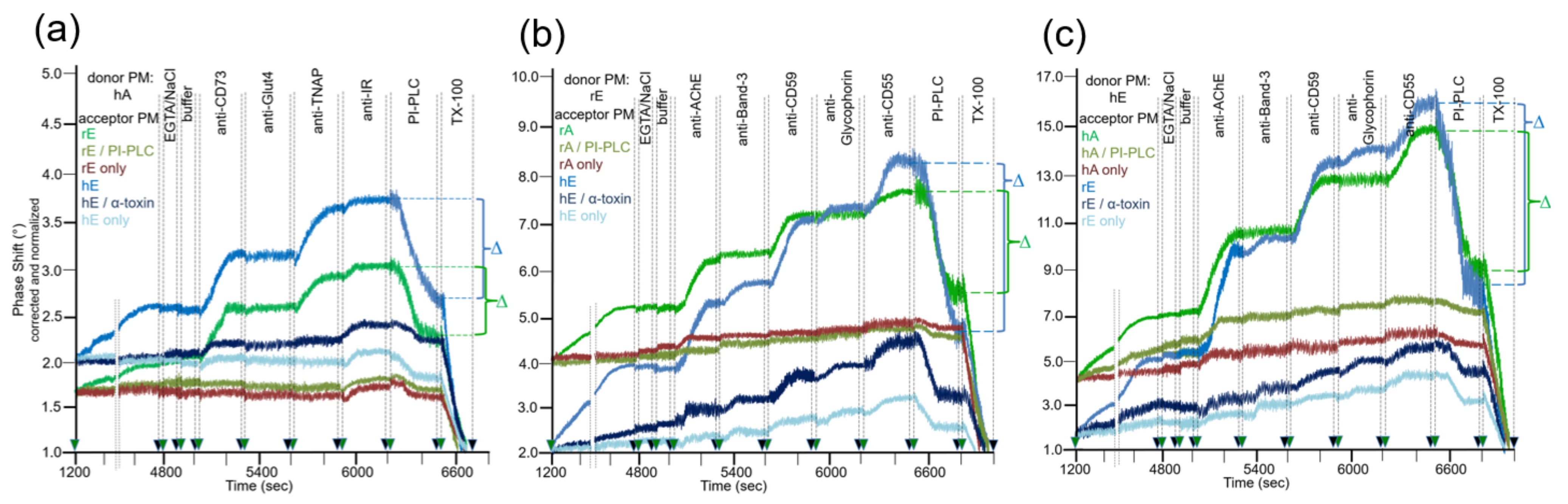 Biomedicines 09 01452 g003 Biomedicines 09 01452 g003