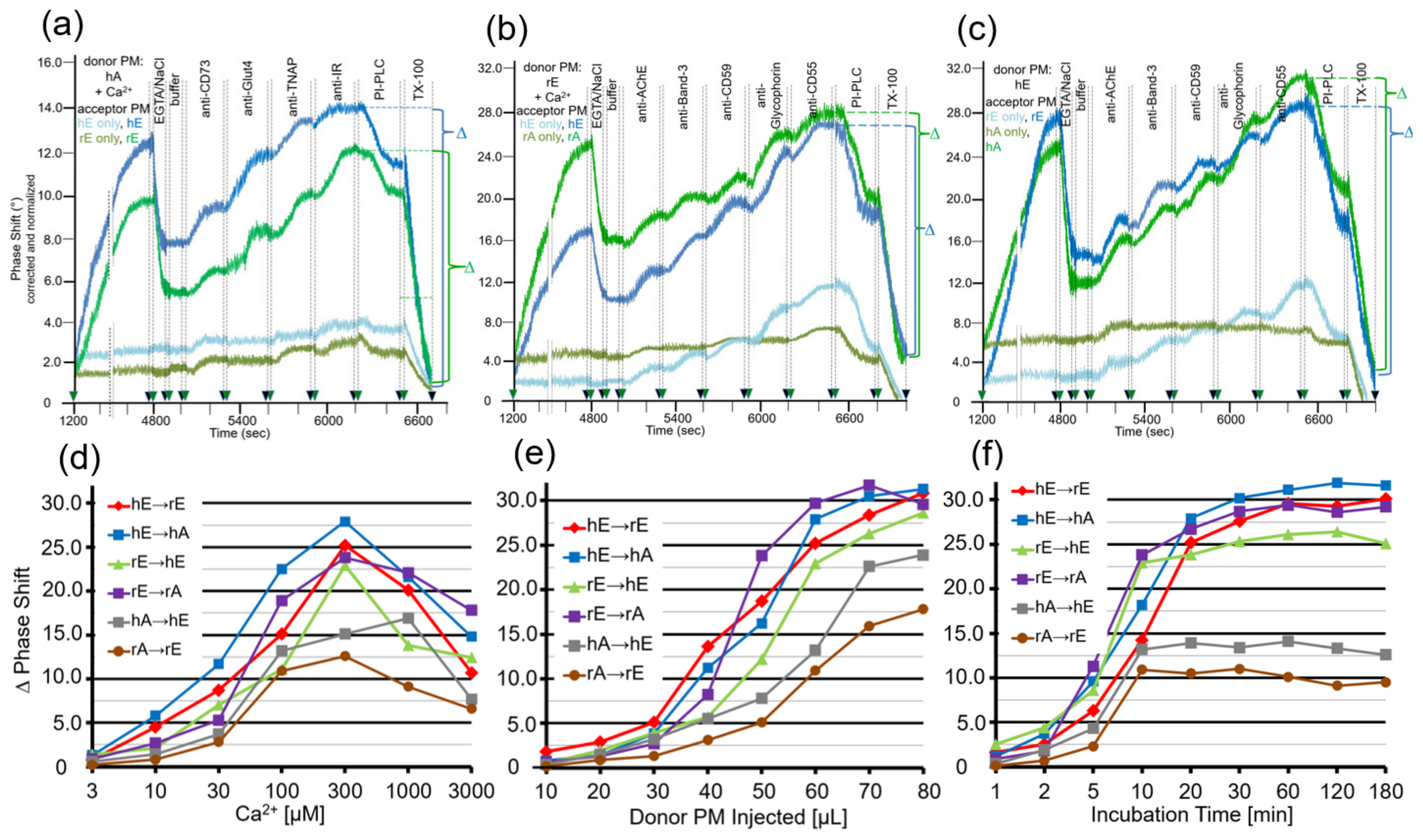 Biomedicines 09 01452 g005 Biomedicines 09 01452 g005