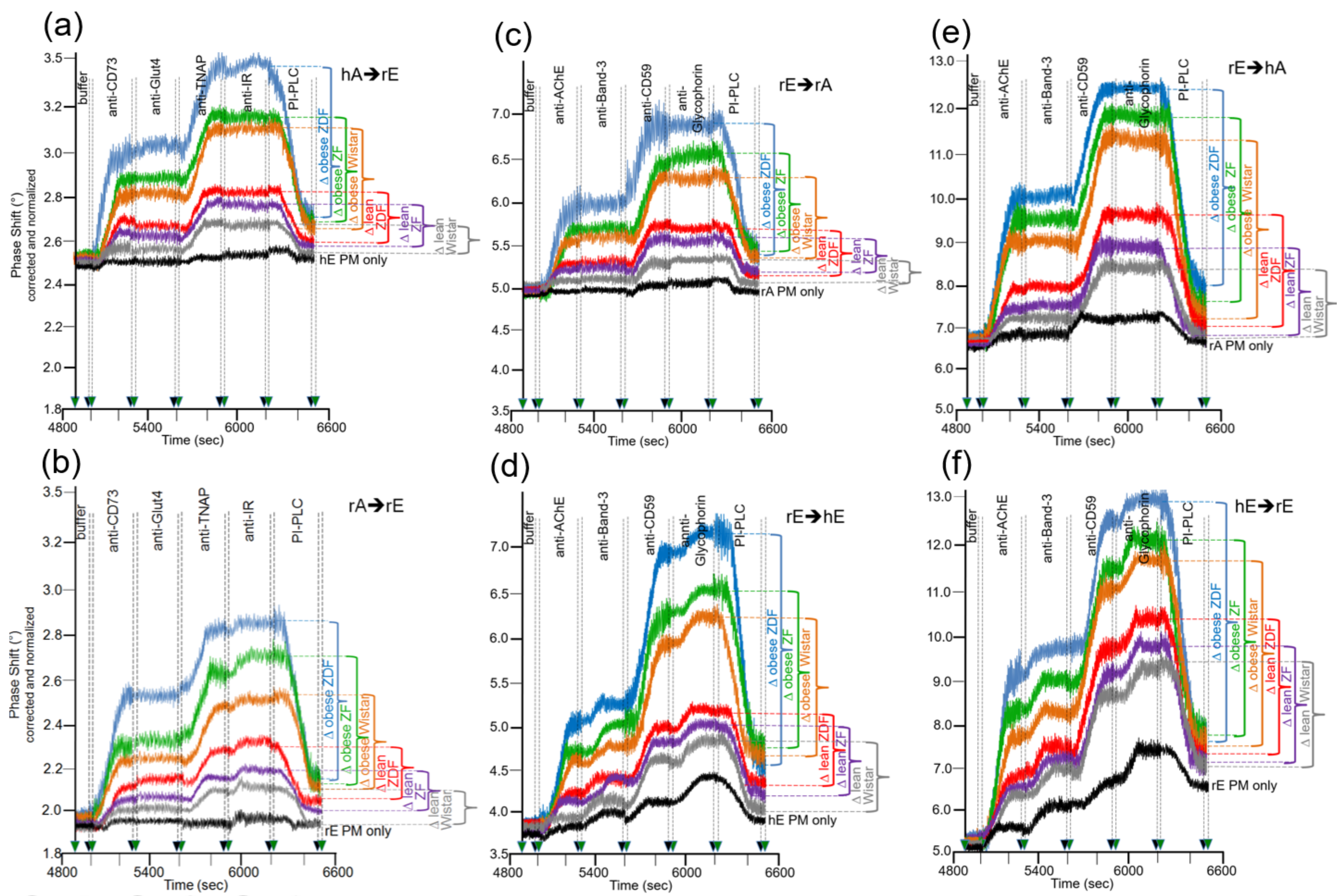 Biomedicines 09 01452 g006 Biomedicines 09 01452 g006