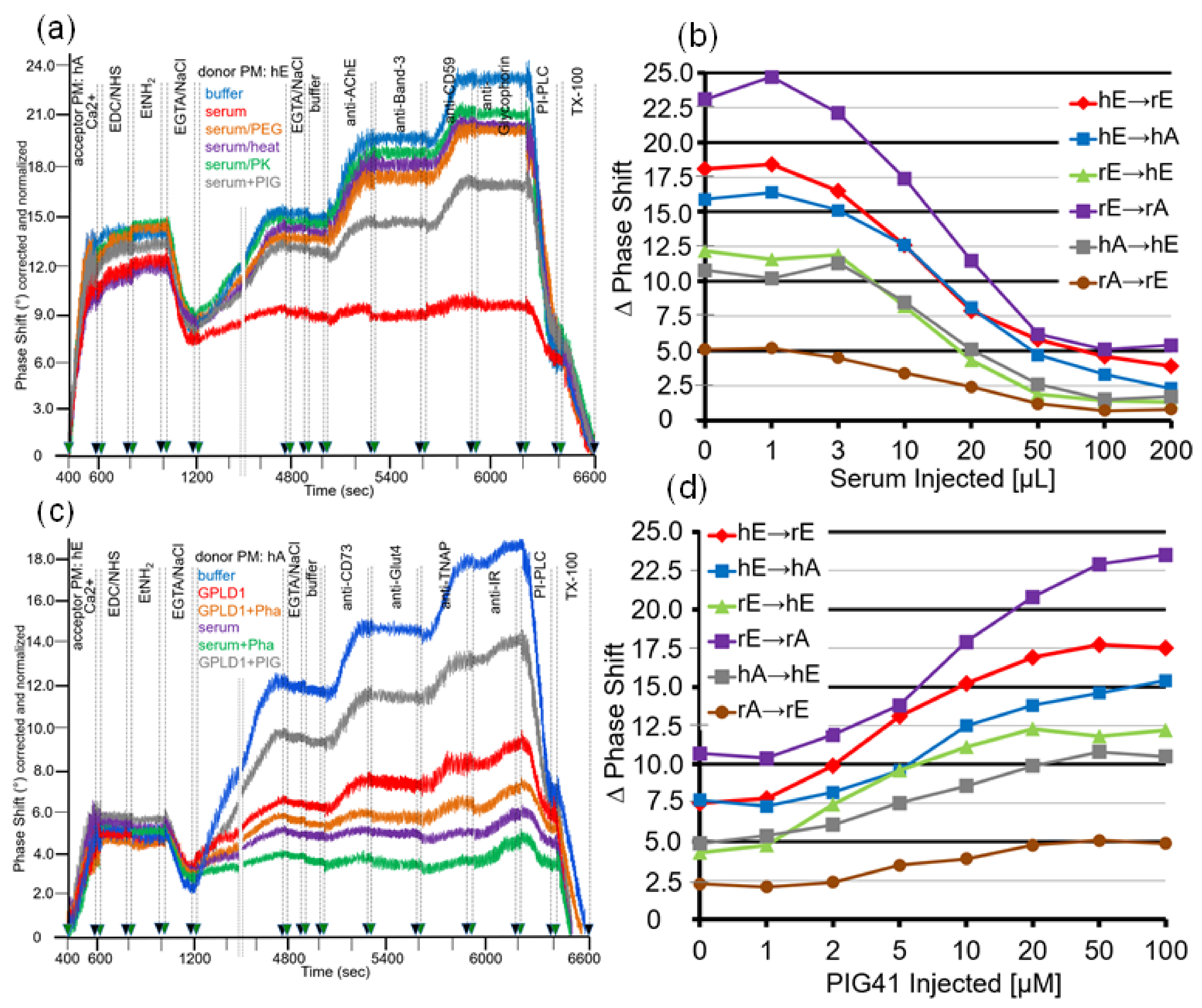Biomedicines 09 01452 g008 Biomedicines 09 01452 g008