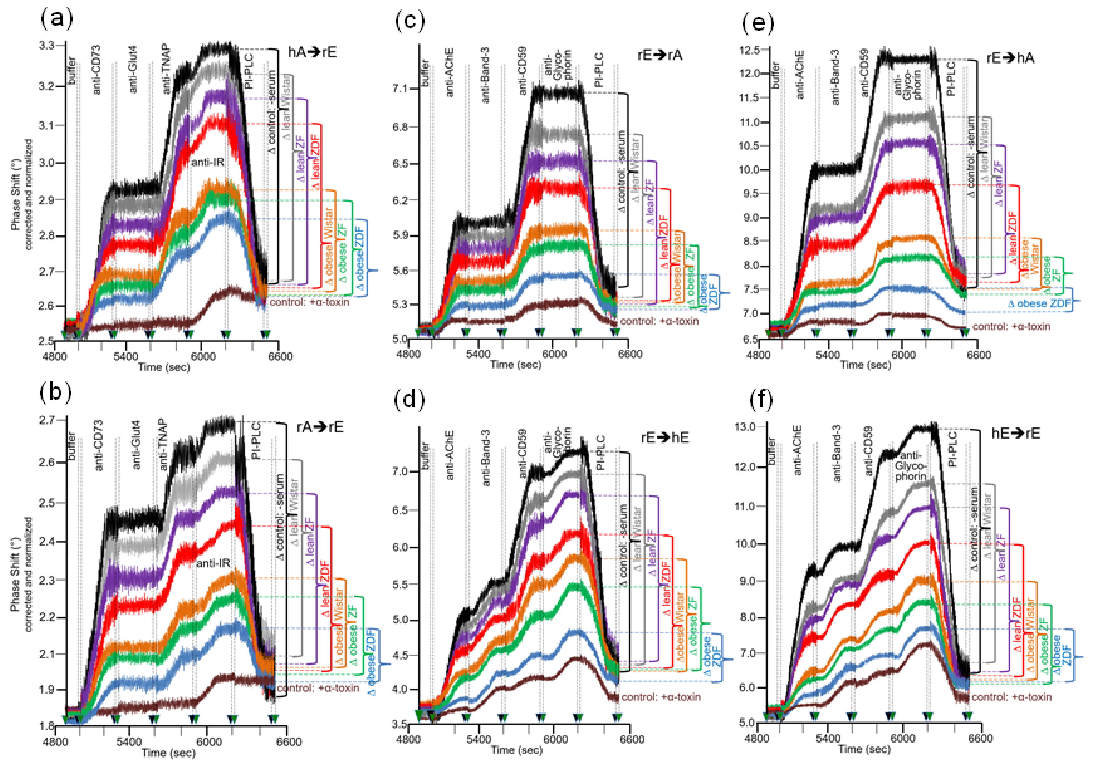 Biomedicines 09 01452 g011 Biomedicines 09 01452 g011