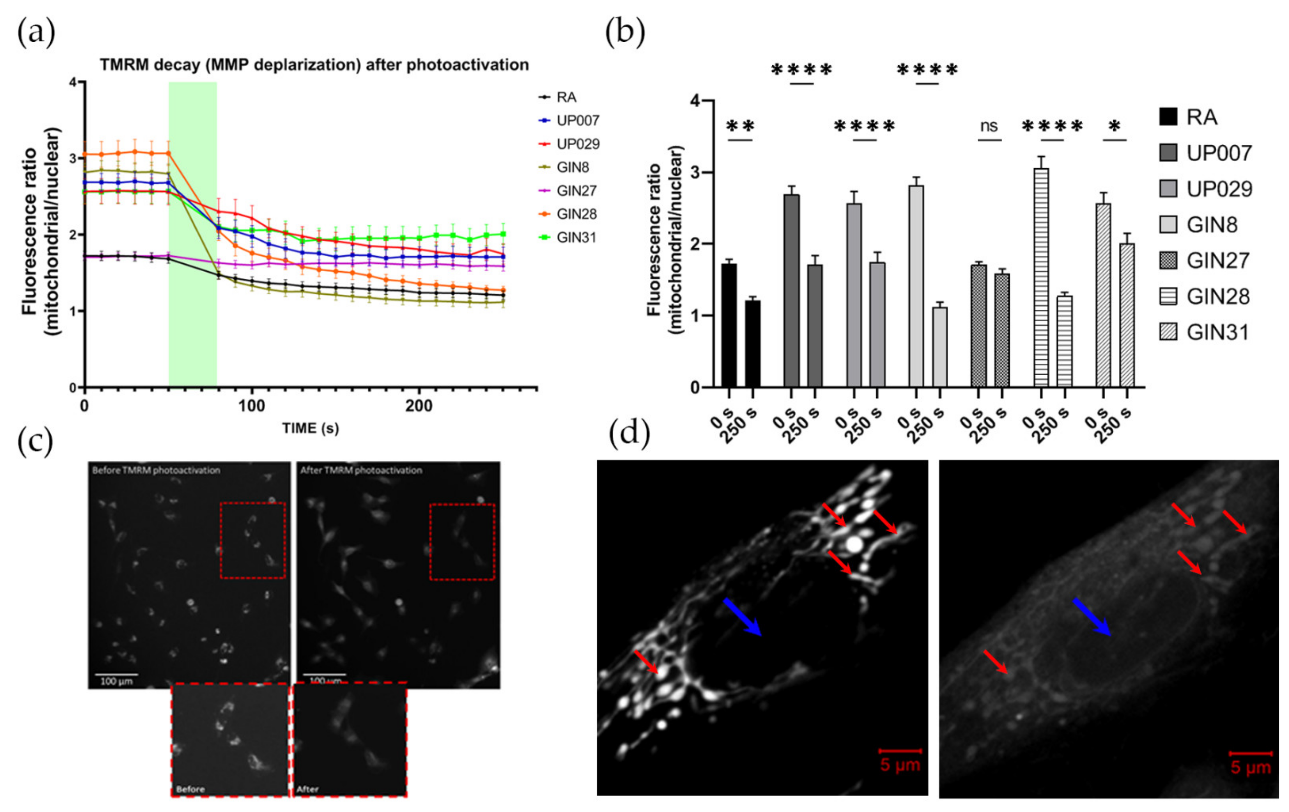 Biomedicines 09 01453 g001