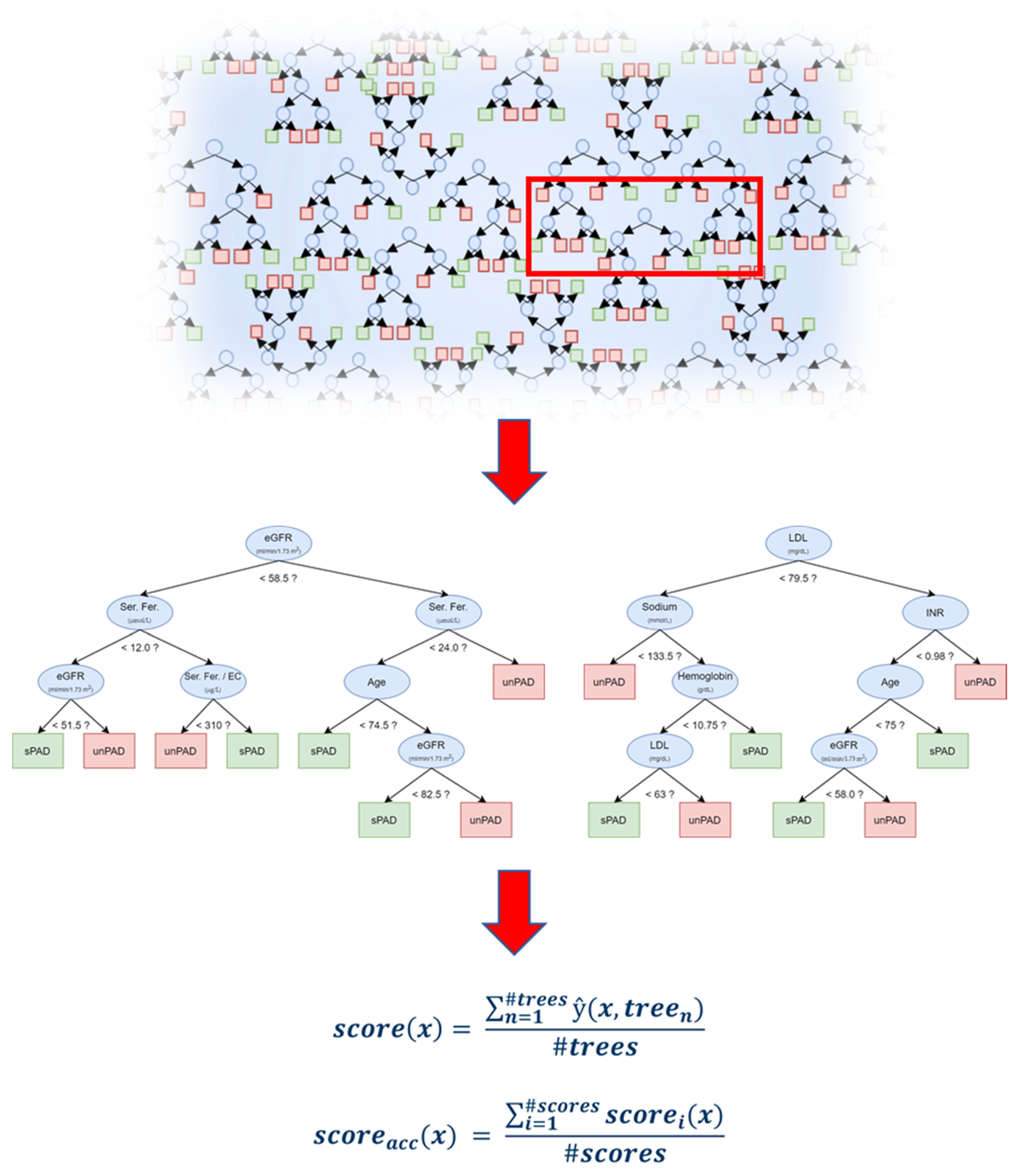 Biomedicines 09 01456 g002