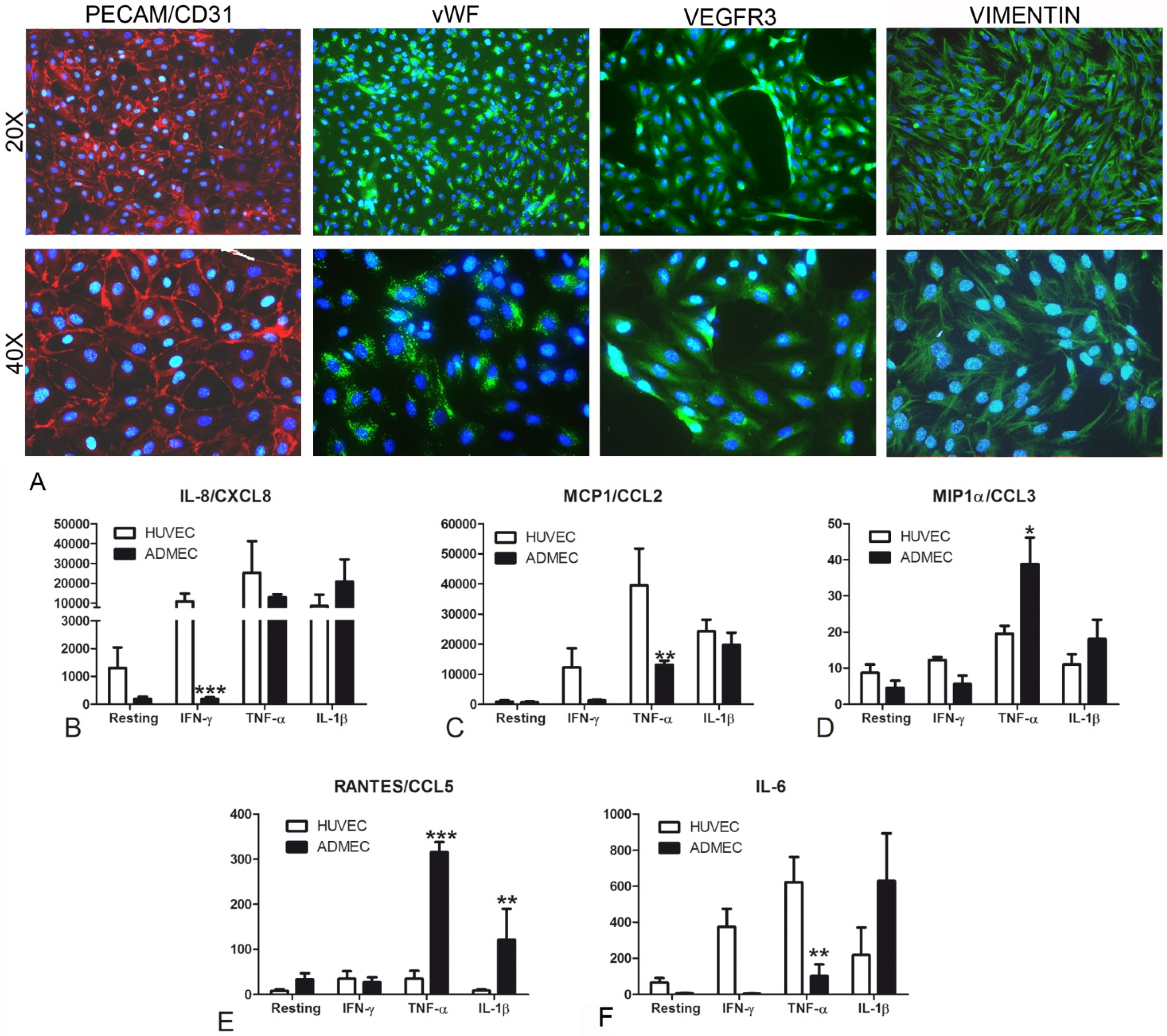 Biomedicines 09 01458 g001
