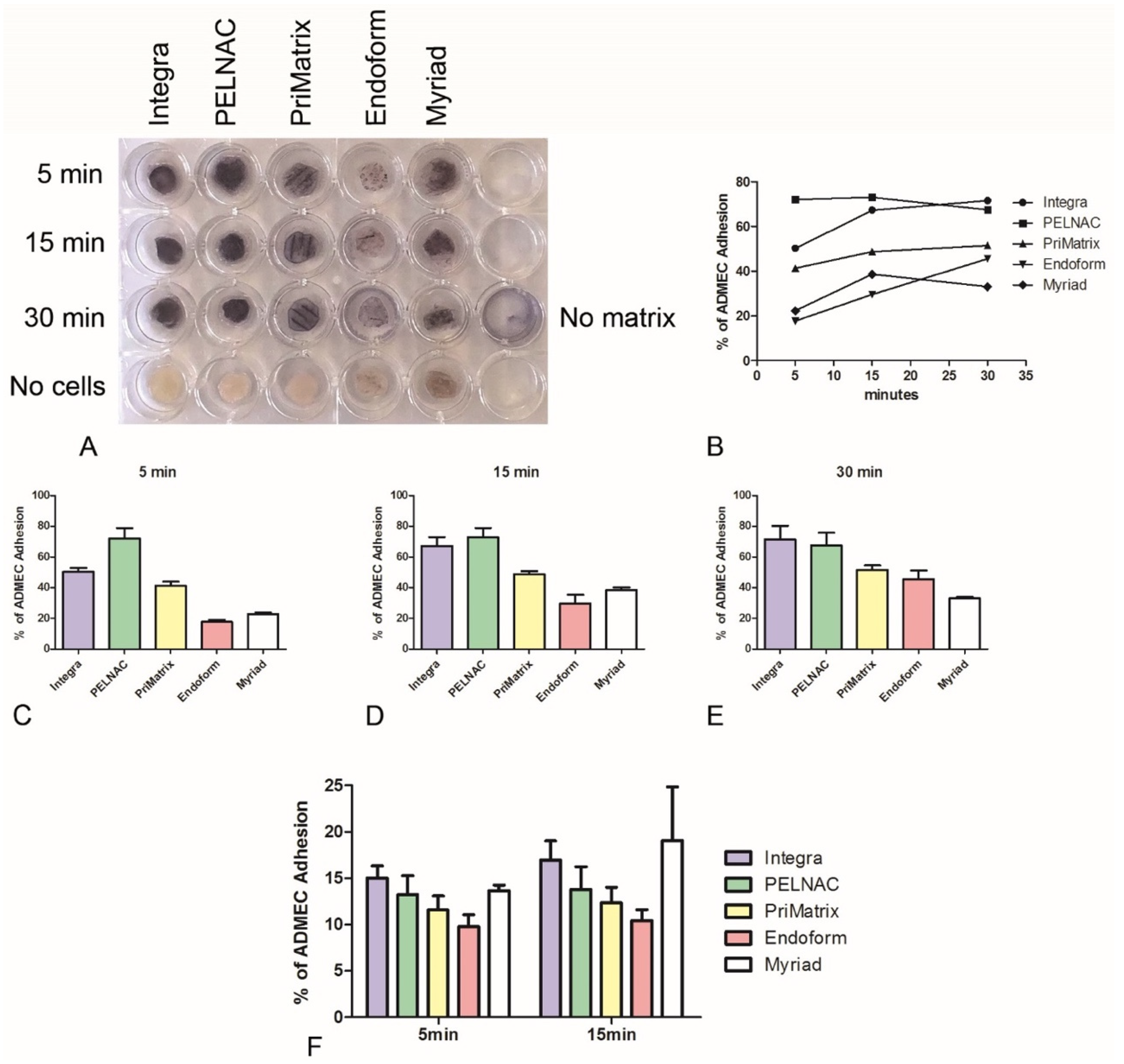 Biomedicines 09 01458 g002