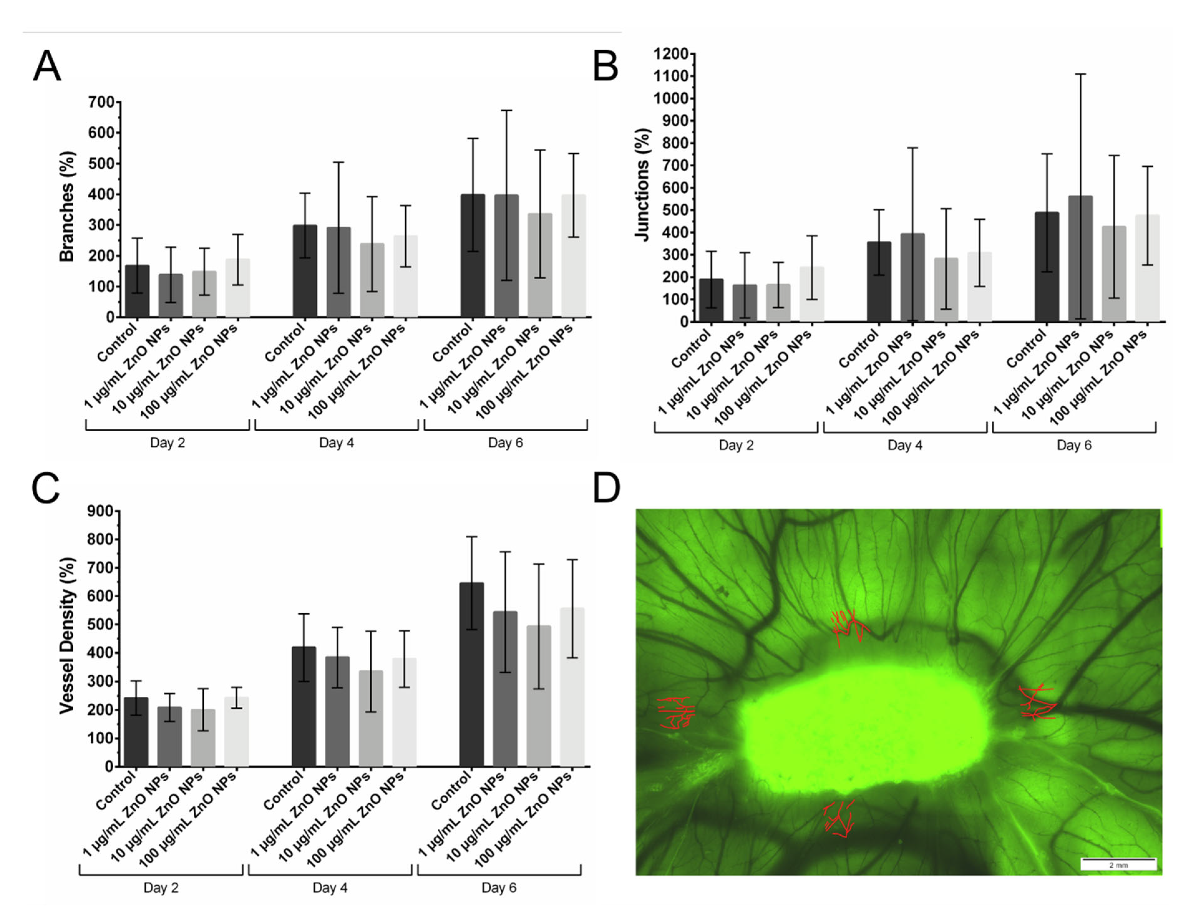 Biomedicines 09 01462 g005