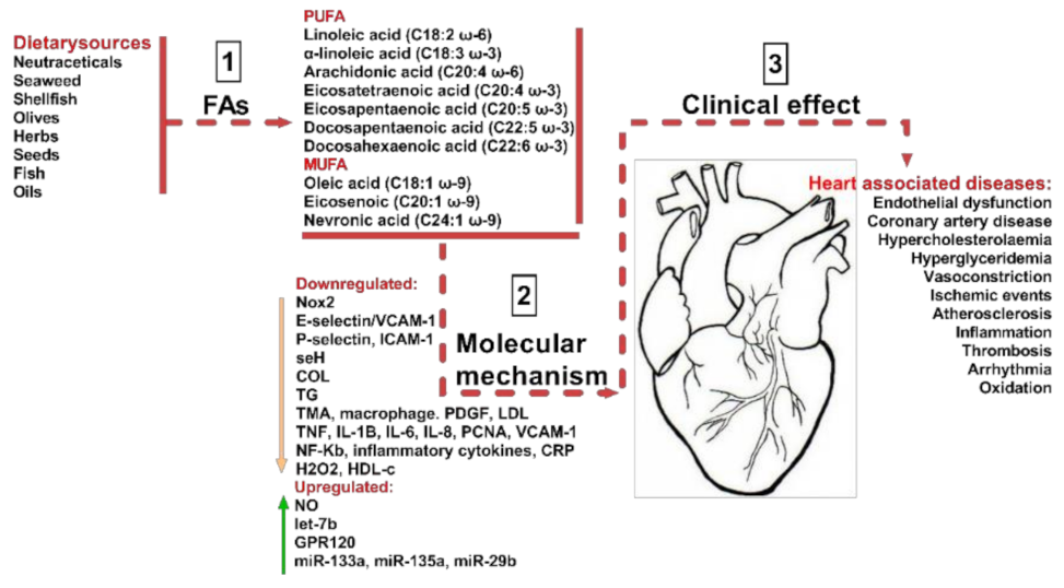 Biomedicines 09 01466 g001