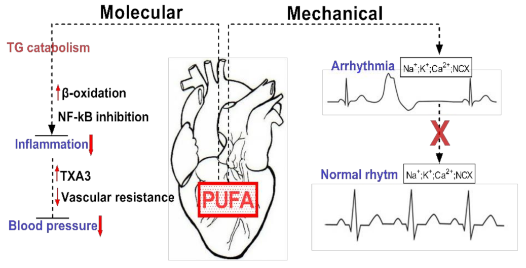 Biomedicines 09 01466 g002