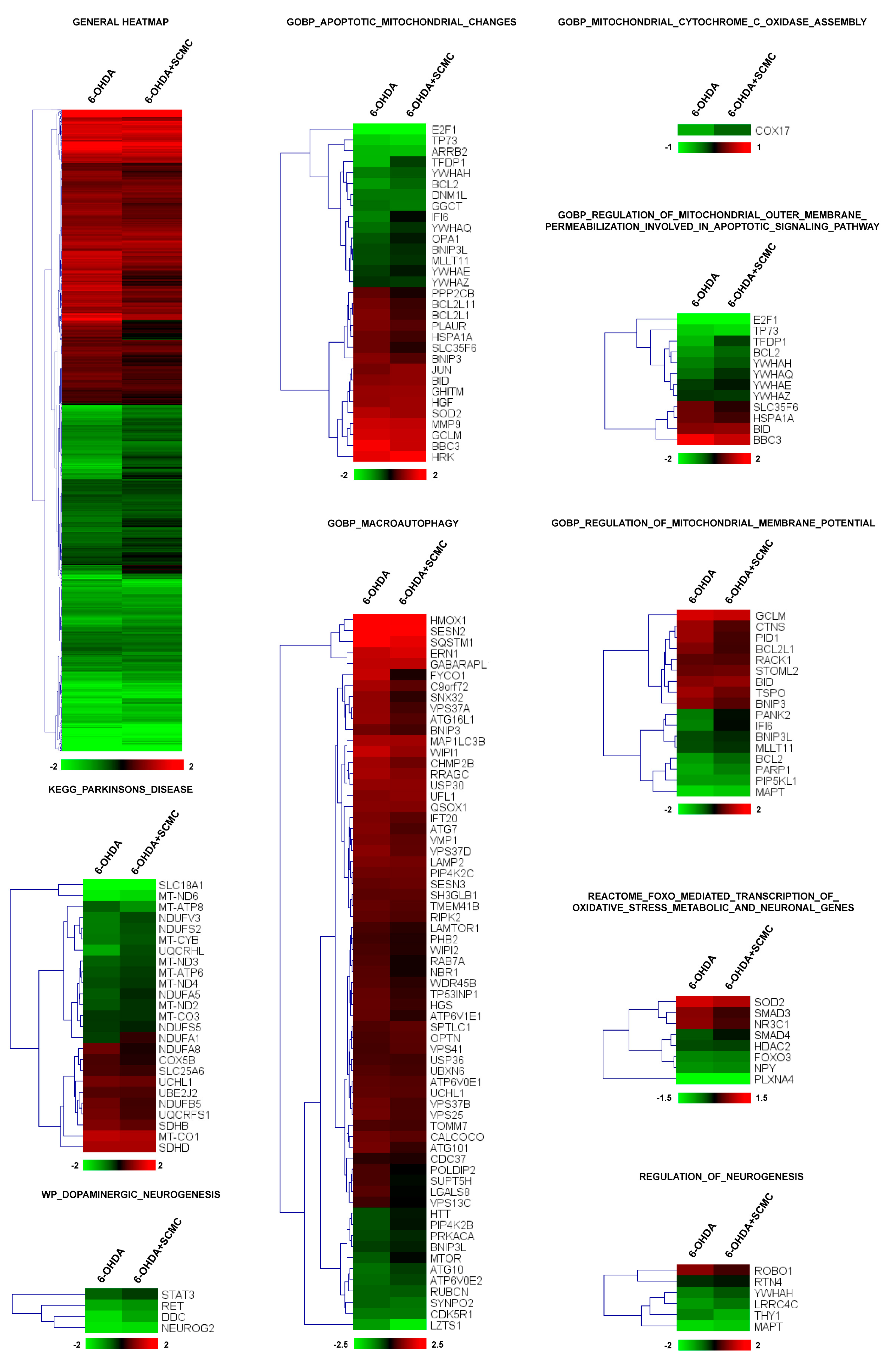 Biomedicines 09 01467 g001