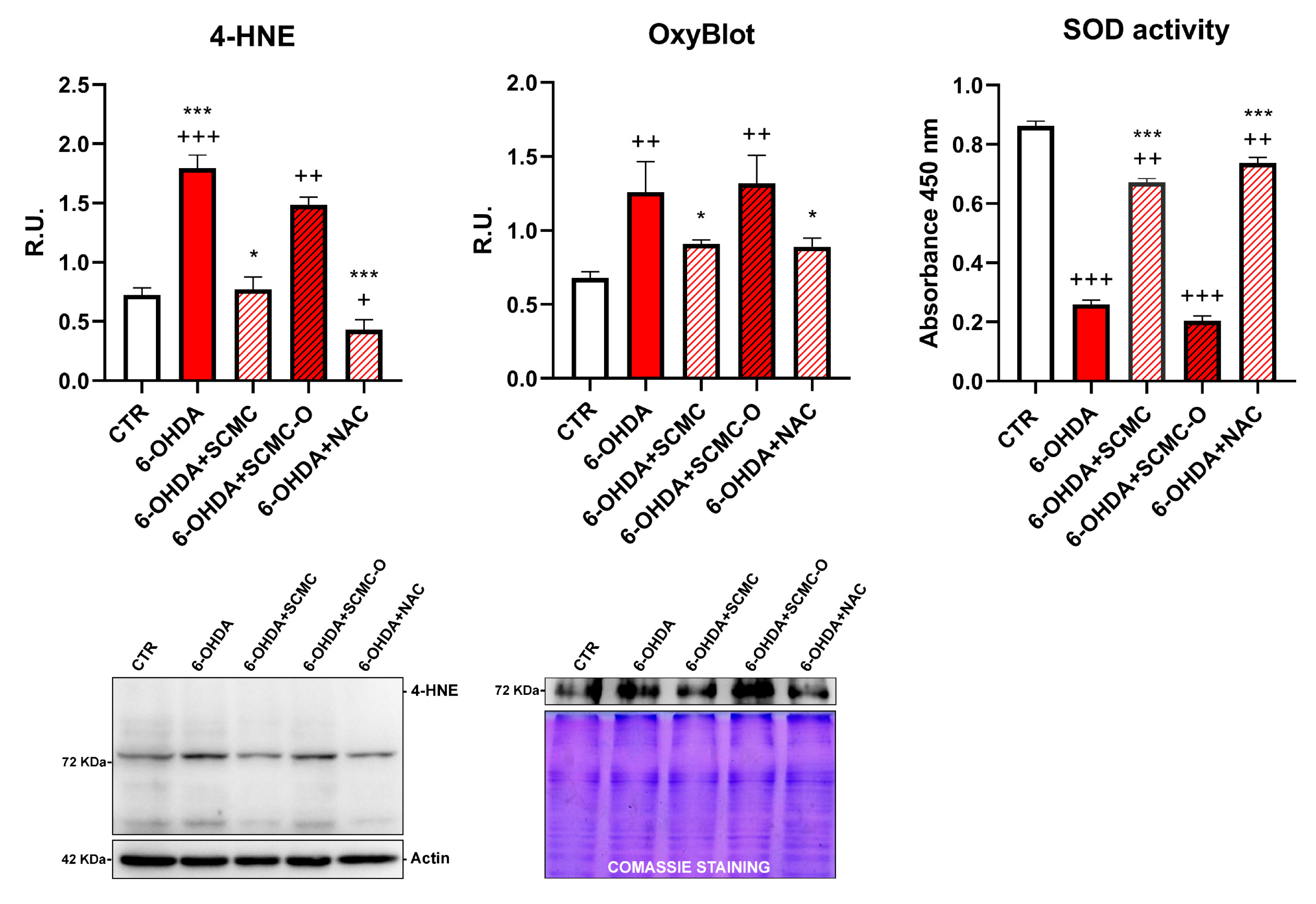 Biomedicines 09 01467 g004
