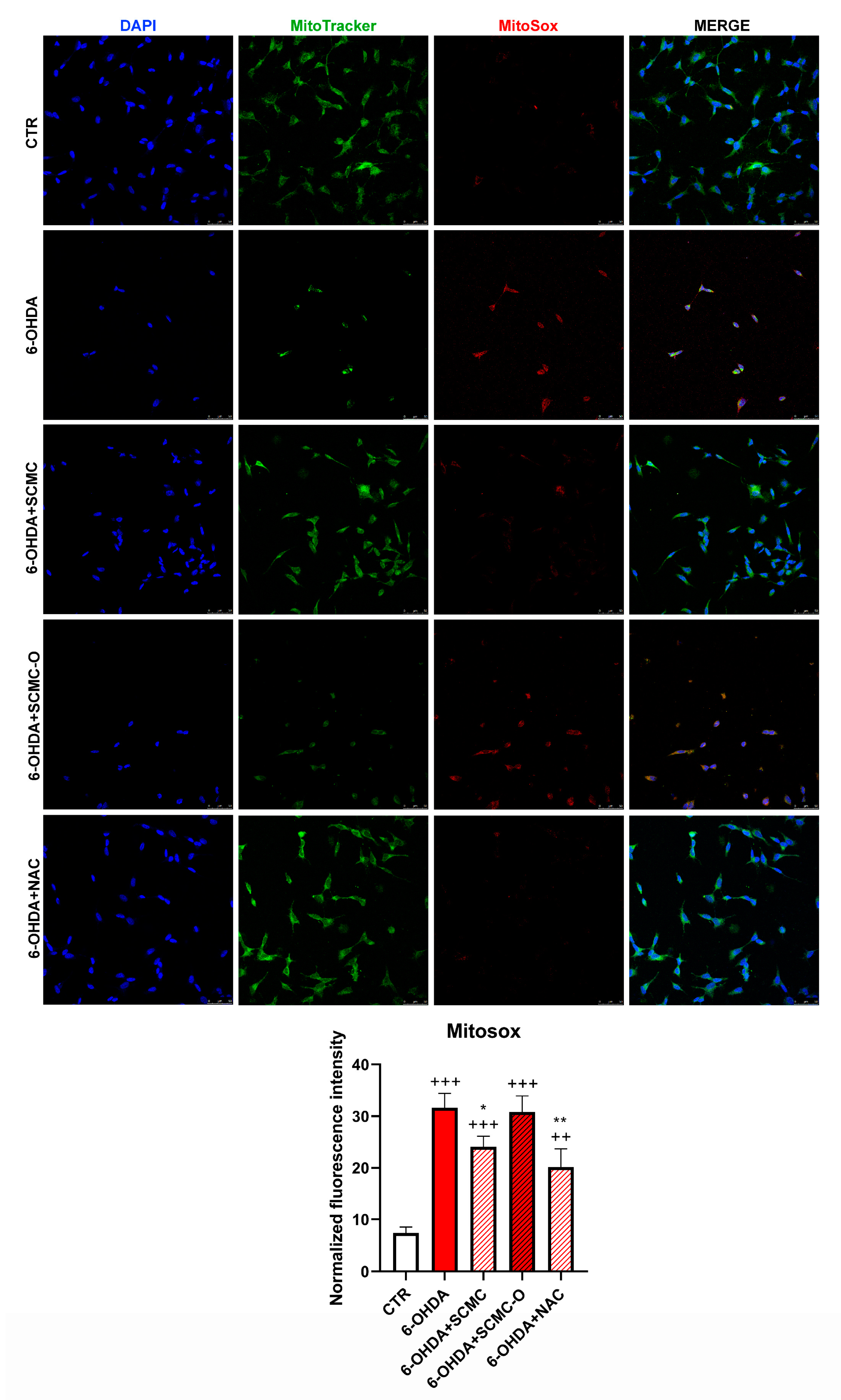 Biomedicines 09 01467 g006