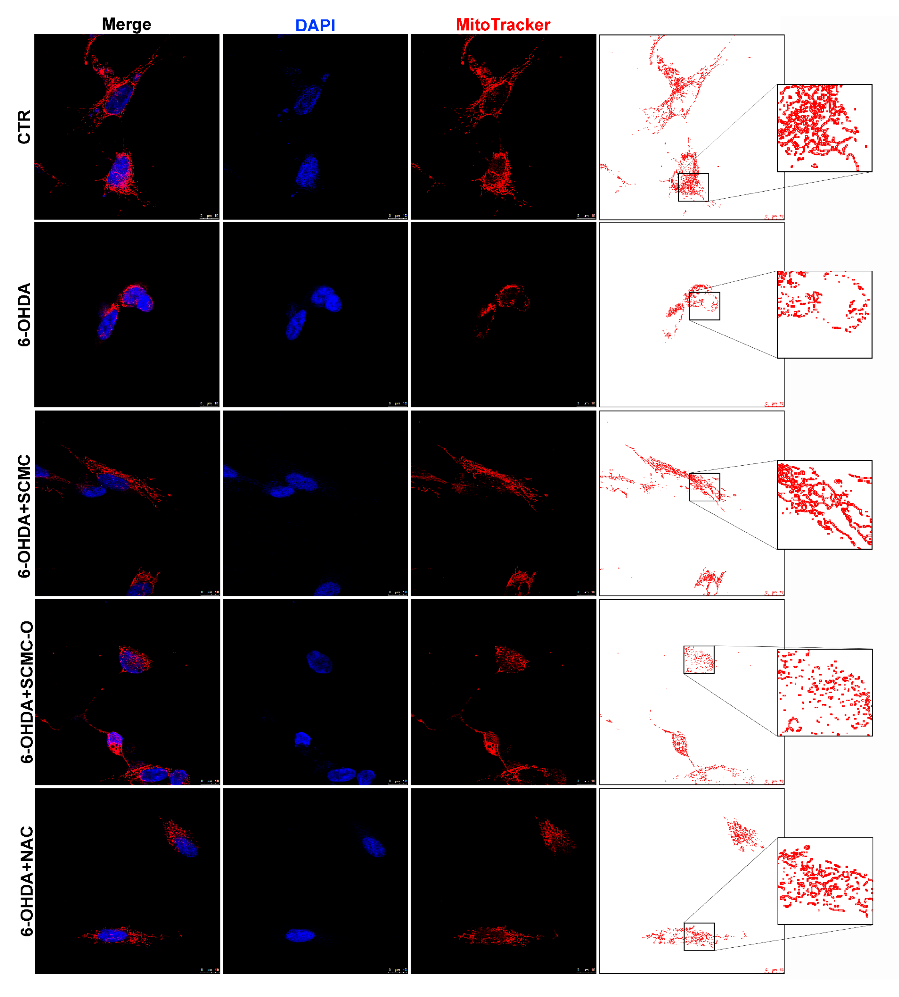 Biomedicines 09 01467 g007a