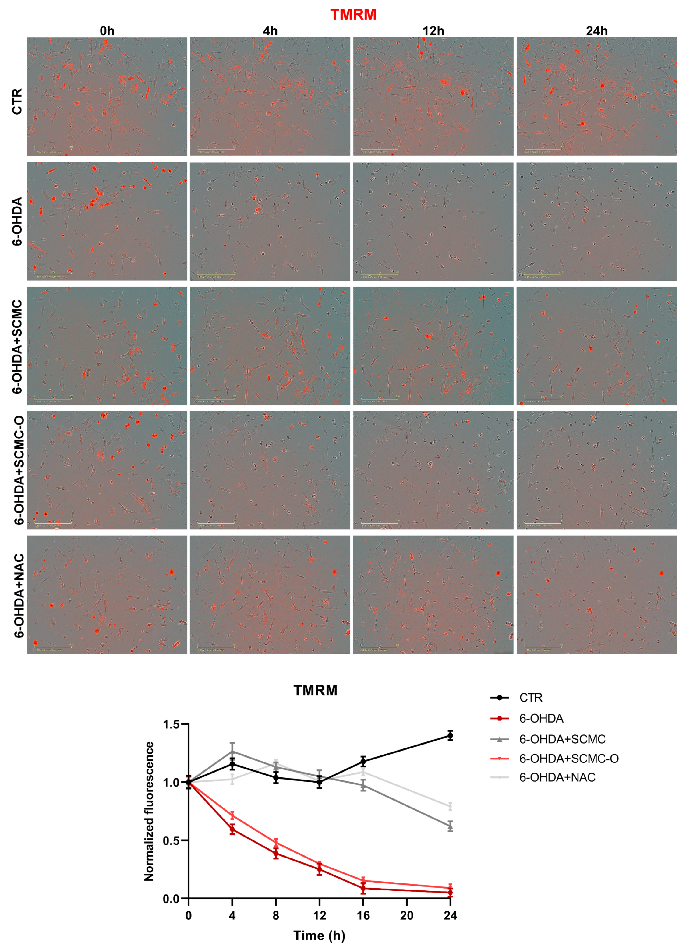 Biomedicines 09 01467 g008