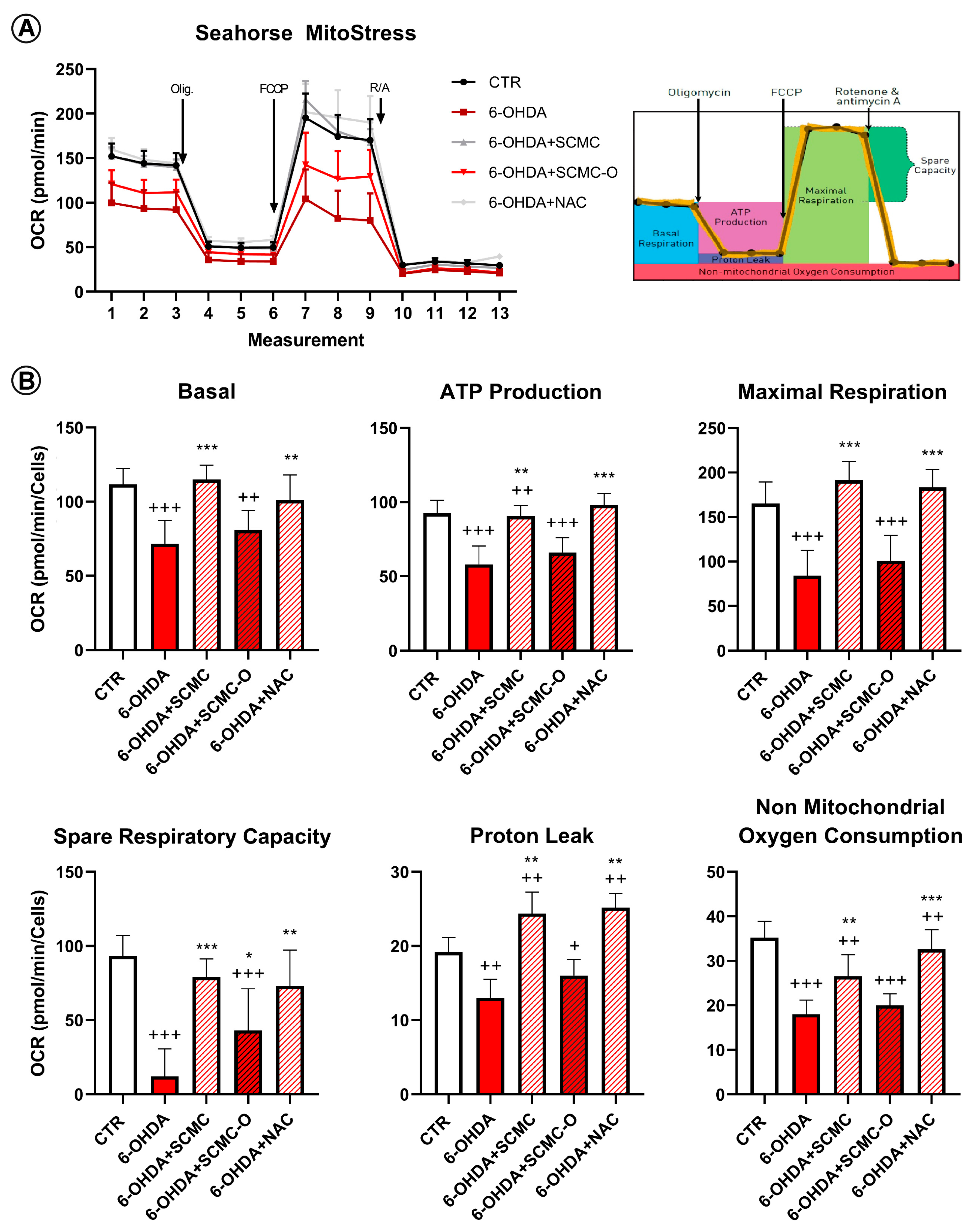 Biomedicines 09 01467 g009