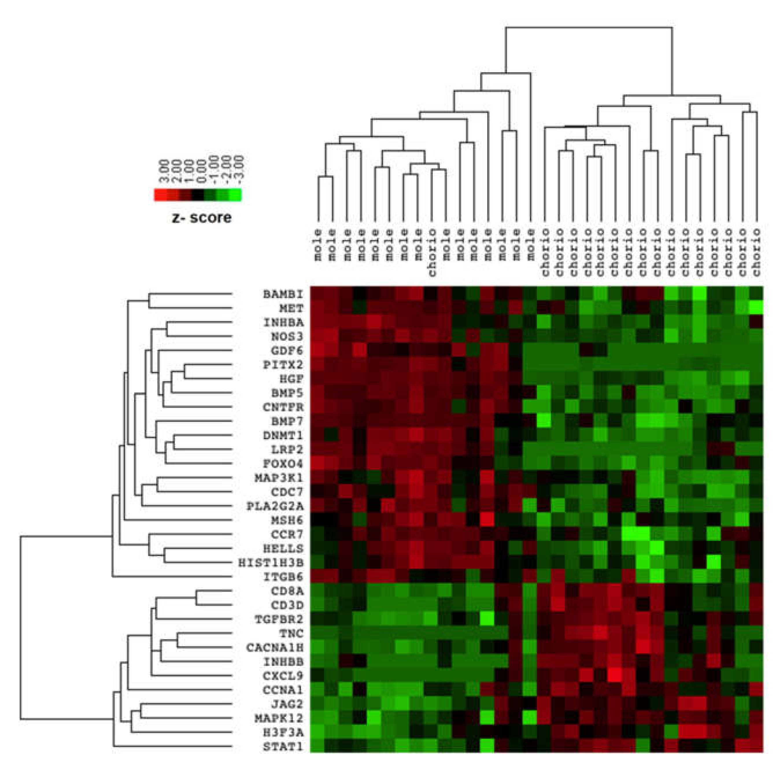 Biomedicines 09 01474 g001