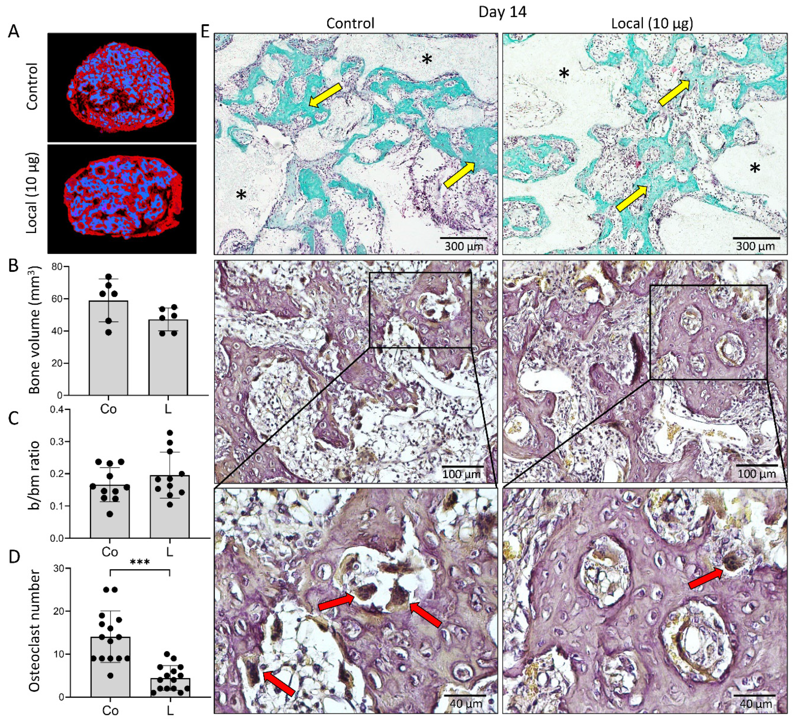 Biomedicines 09 01487 g001