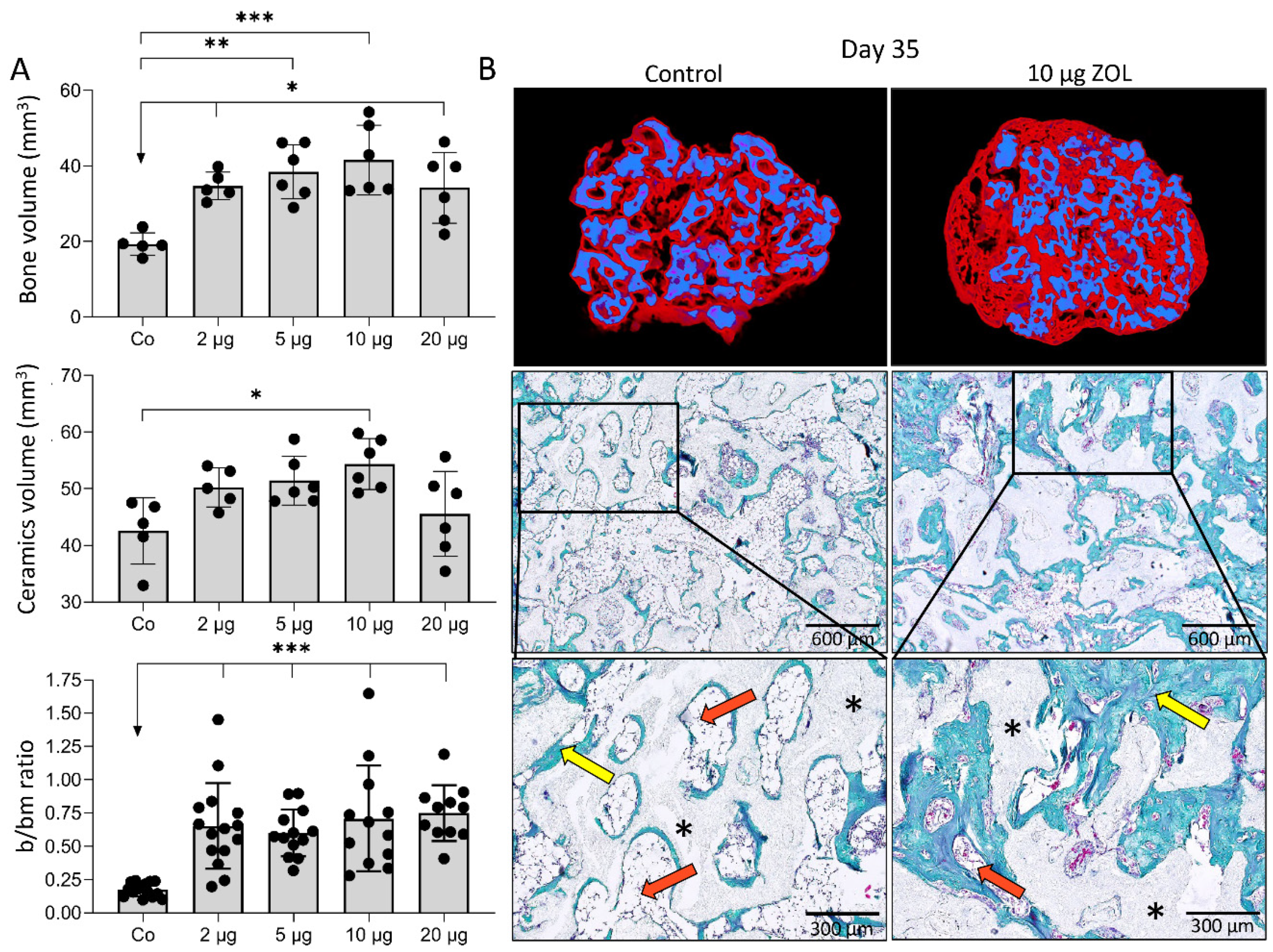 Biomedicines 09 01487 g002