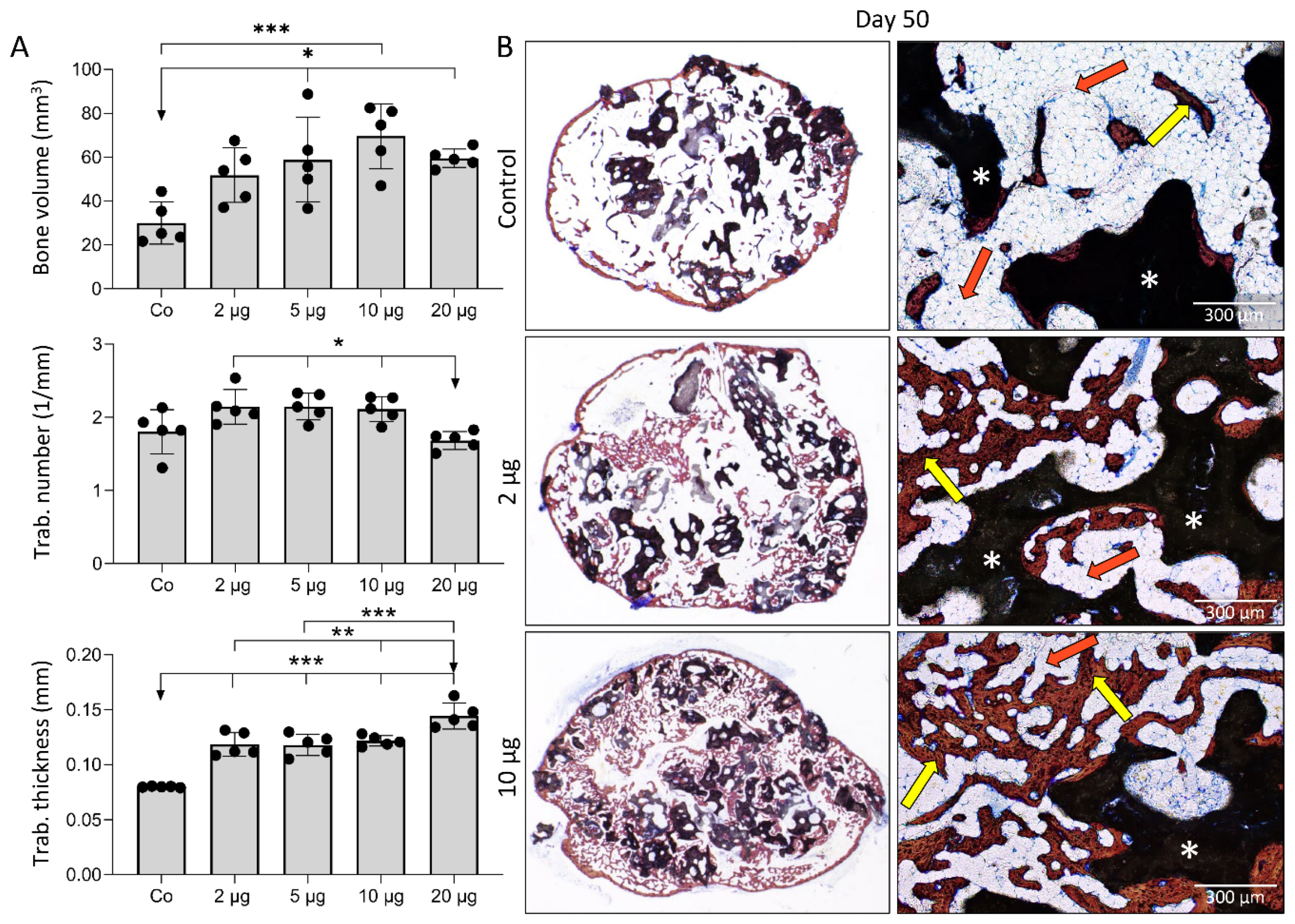 Biomedicines 09 01487 g003