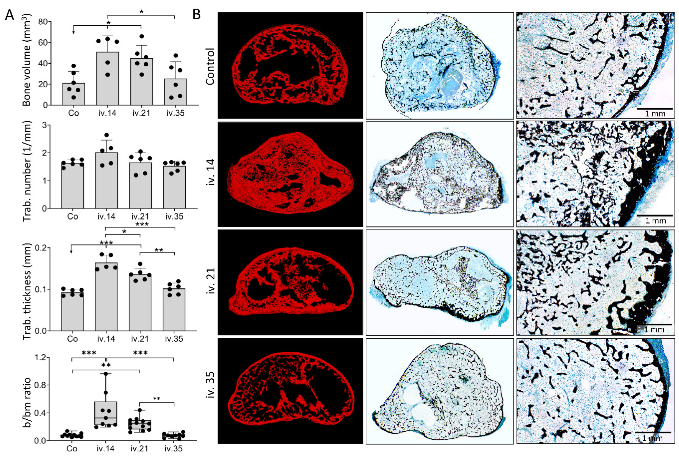 Biomedicines 09 01487 g005