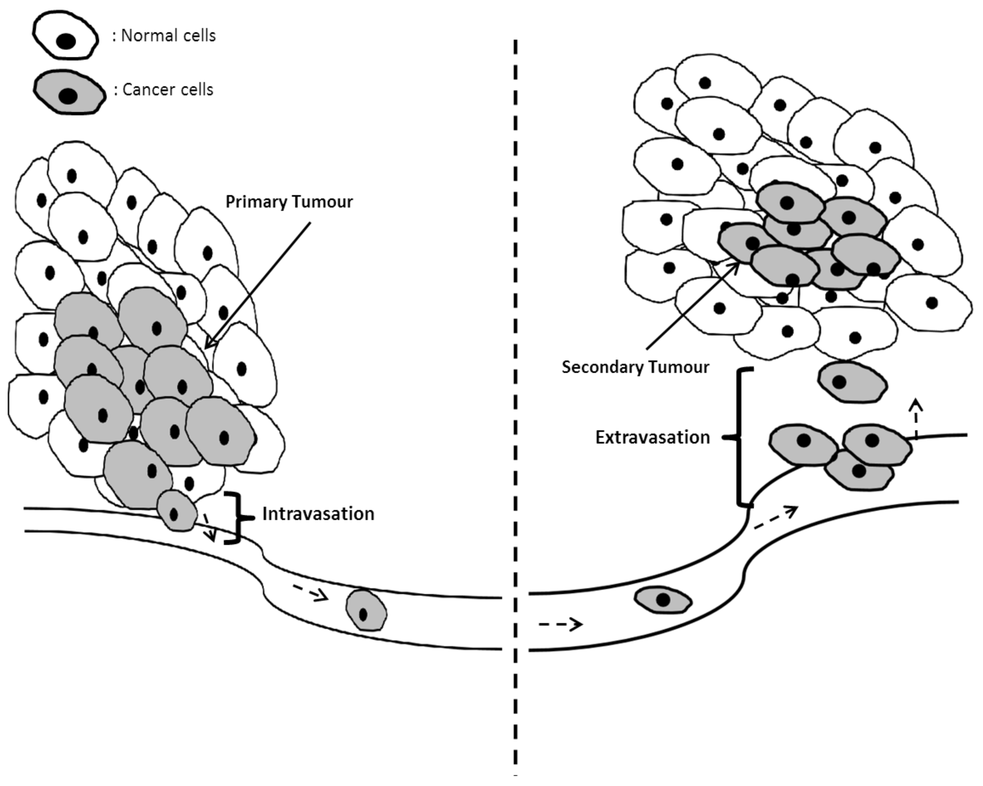Biomedicines 09 01494 g008