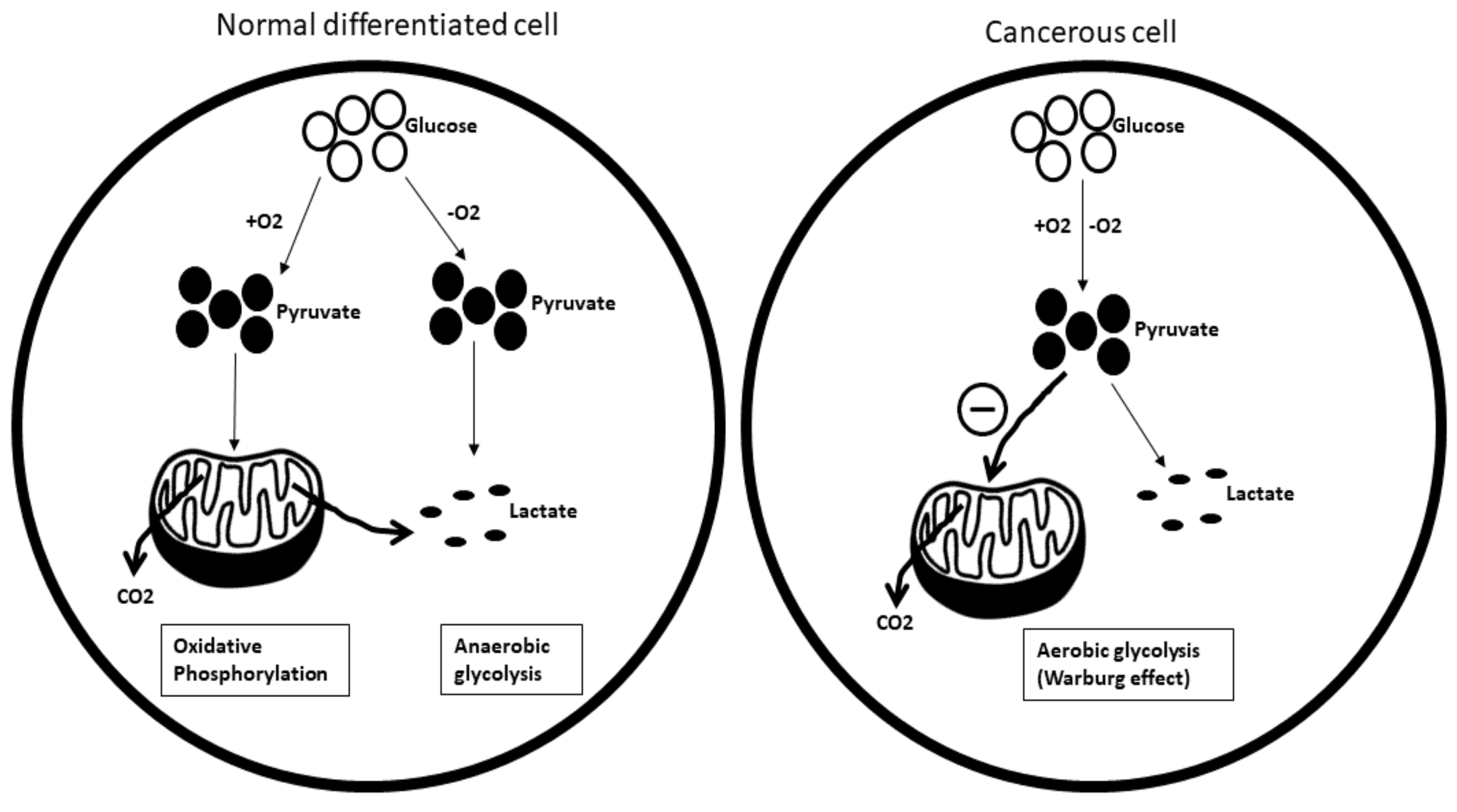Biomedicines 09 01494 g009