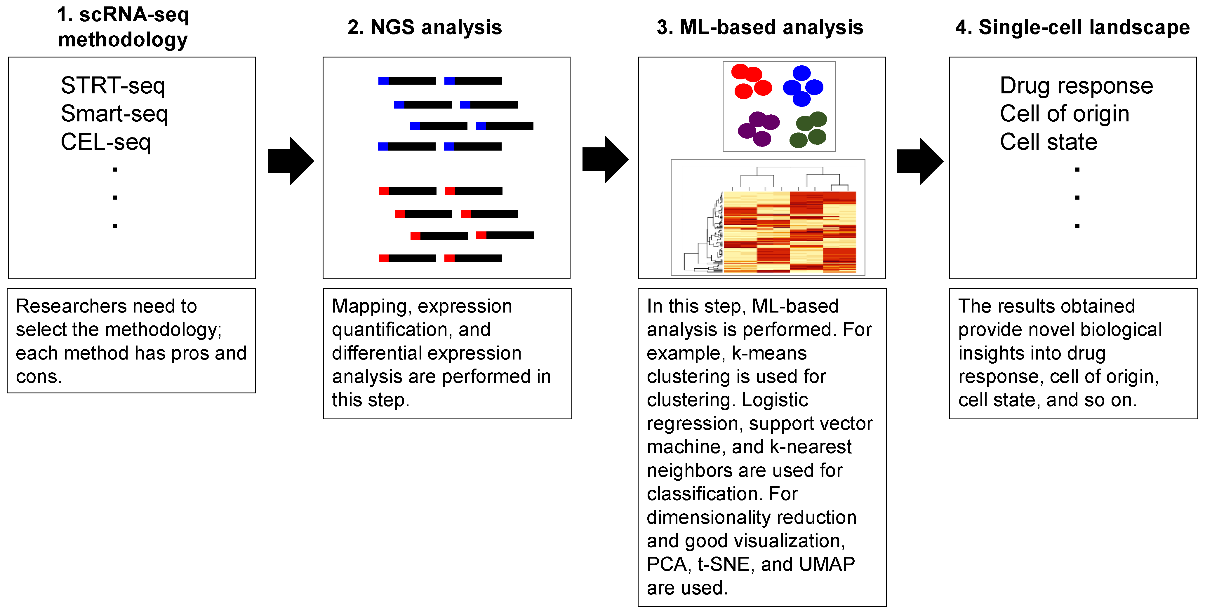 Biomedicines 09 01513 g002 Biomedicines 09 01513 g002