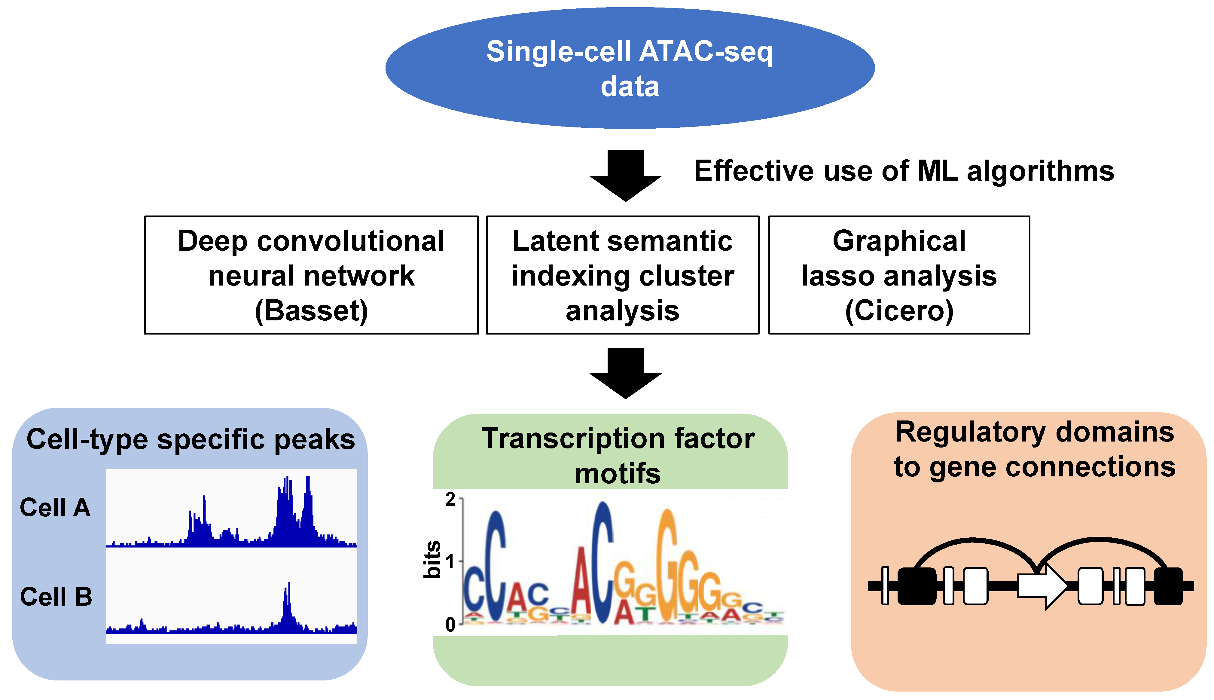 Biomedicines 09 01513 g003 Biomedicines 09 01513 g003