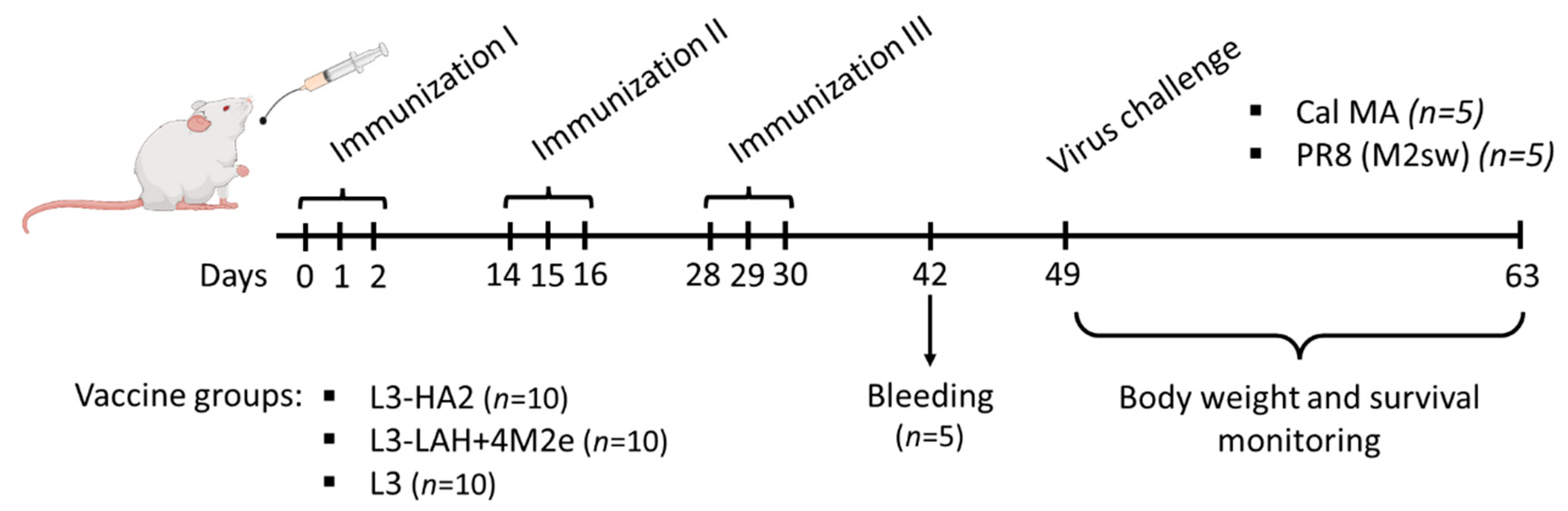 Biomedicines 09 01515 g001