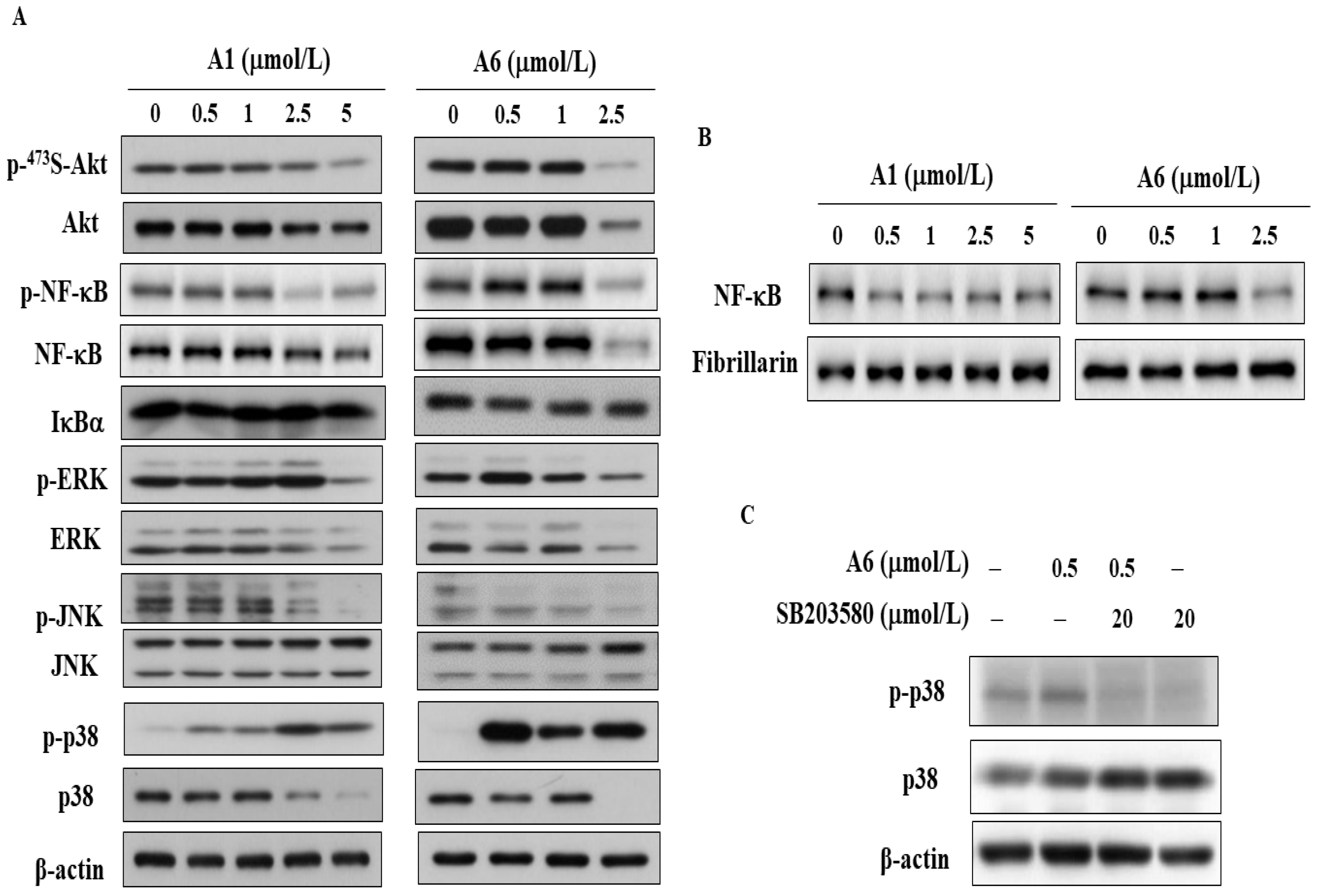 Biomedicines 09 01527 g005