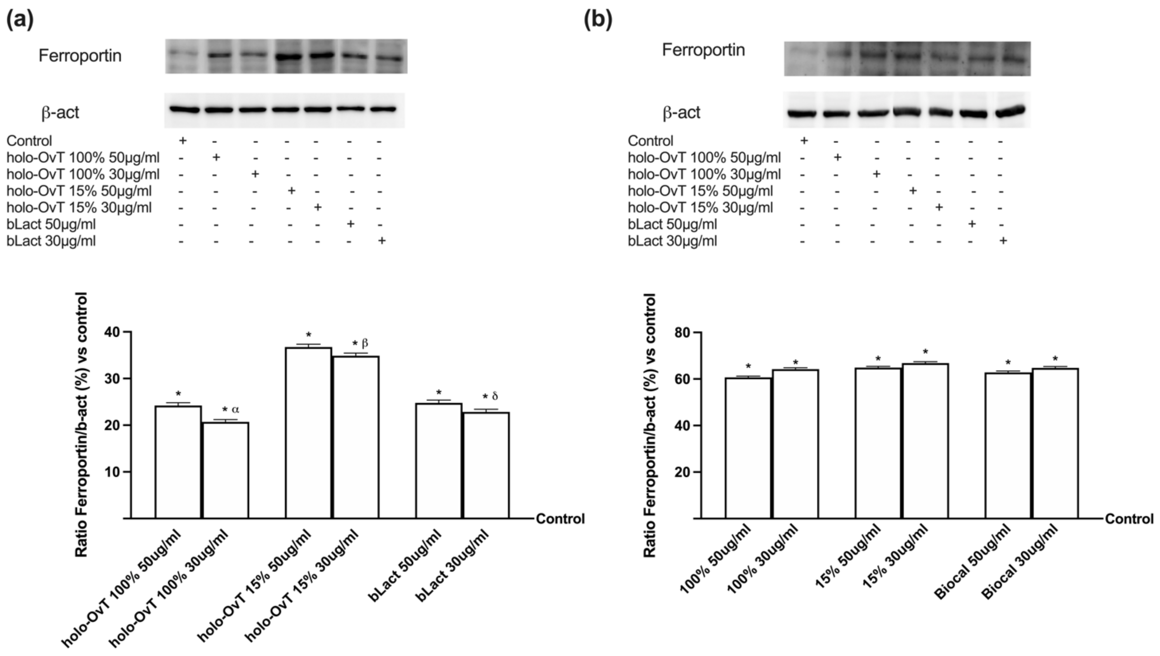 Biomedicines 09 01543 g011