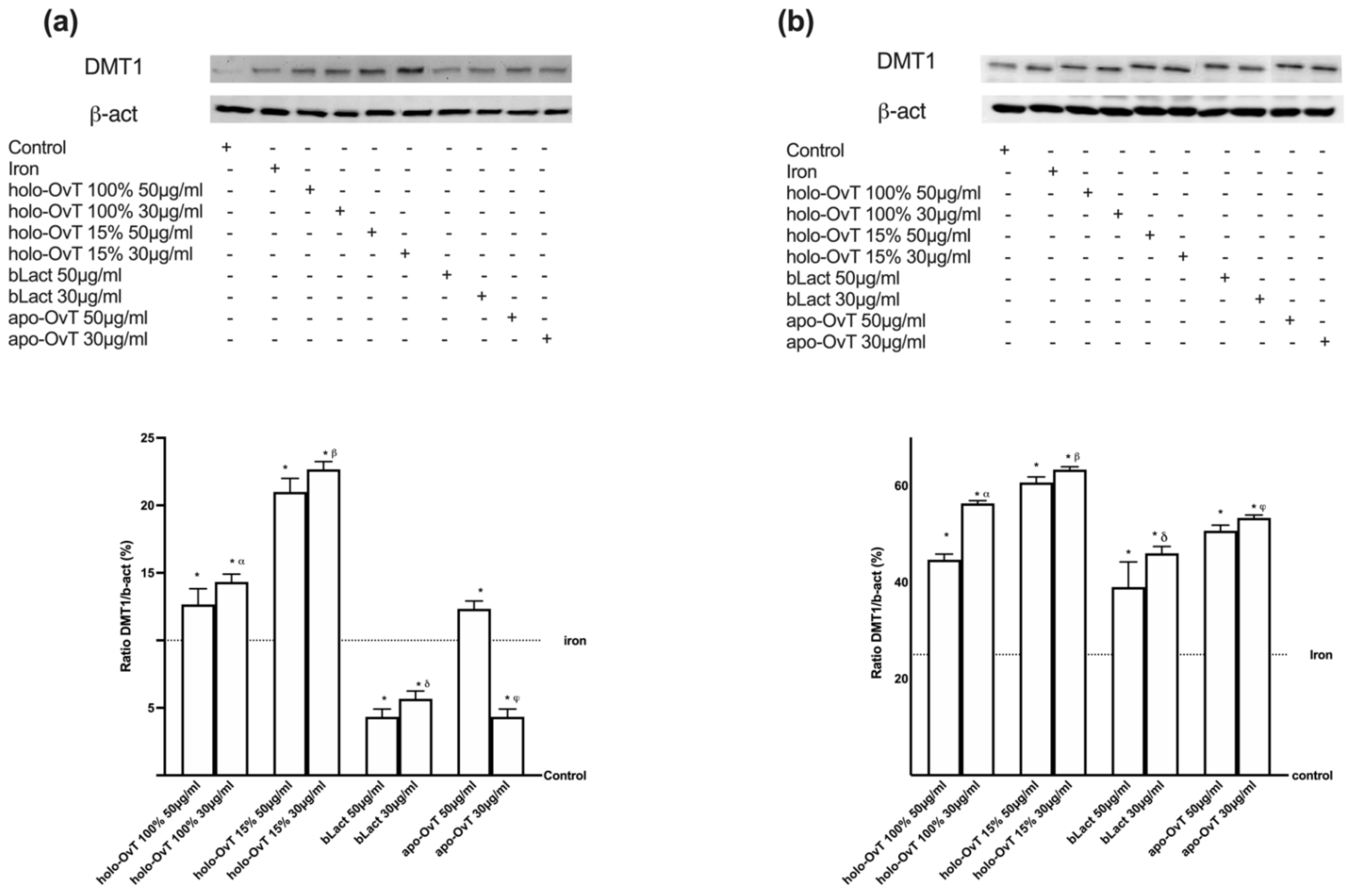 Biomedicines 09 01543 g014