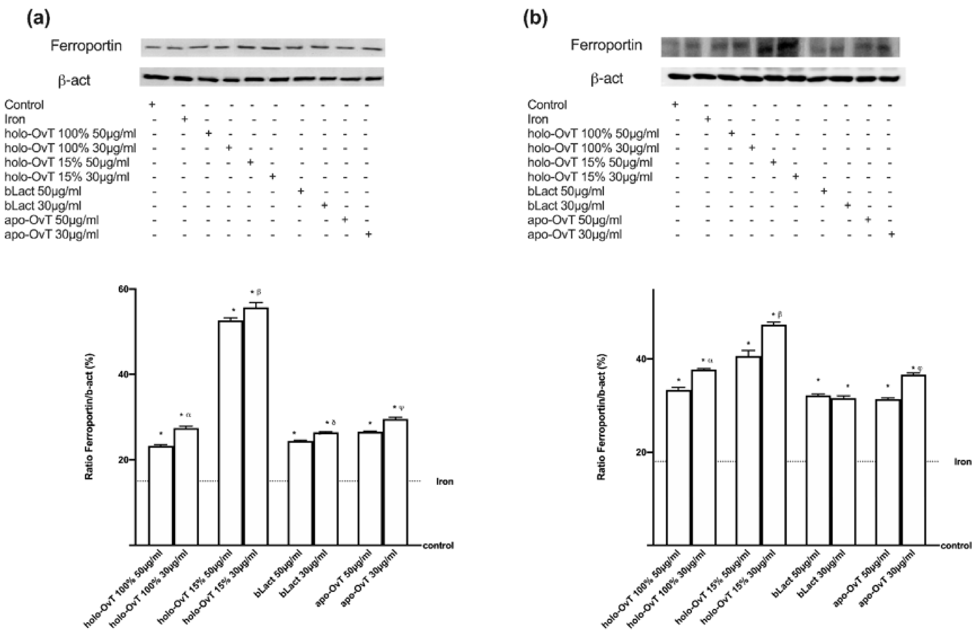 Biomedicines 09 01543 g016