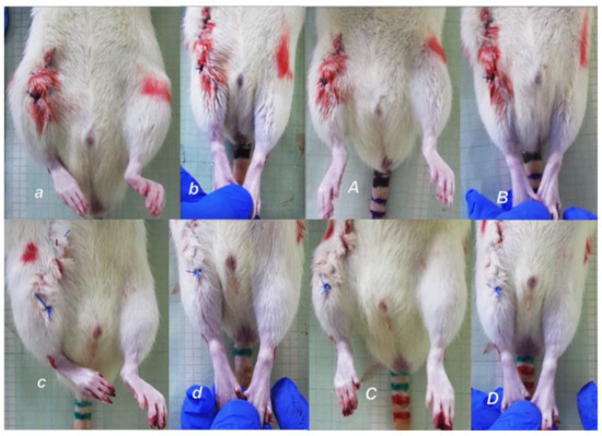 Biomedicines 09 01547 g003 550