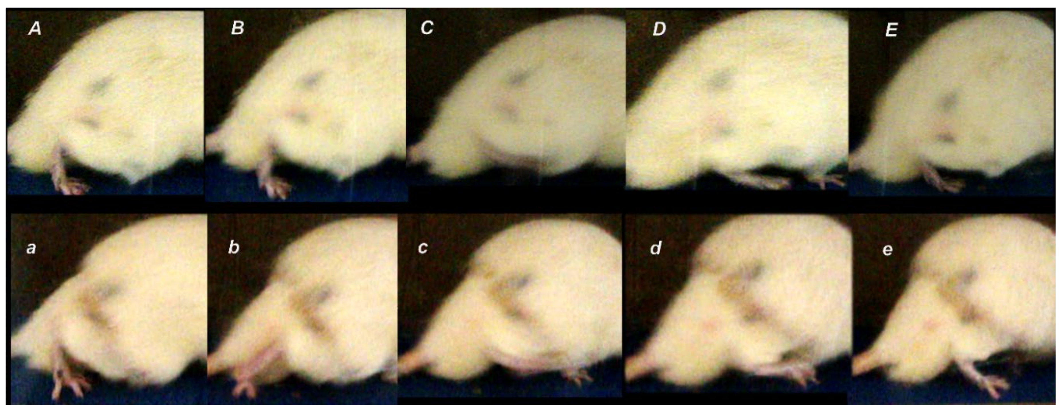 Biomedicines 09 01547 g004